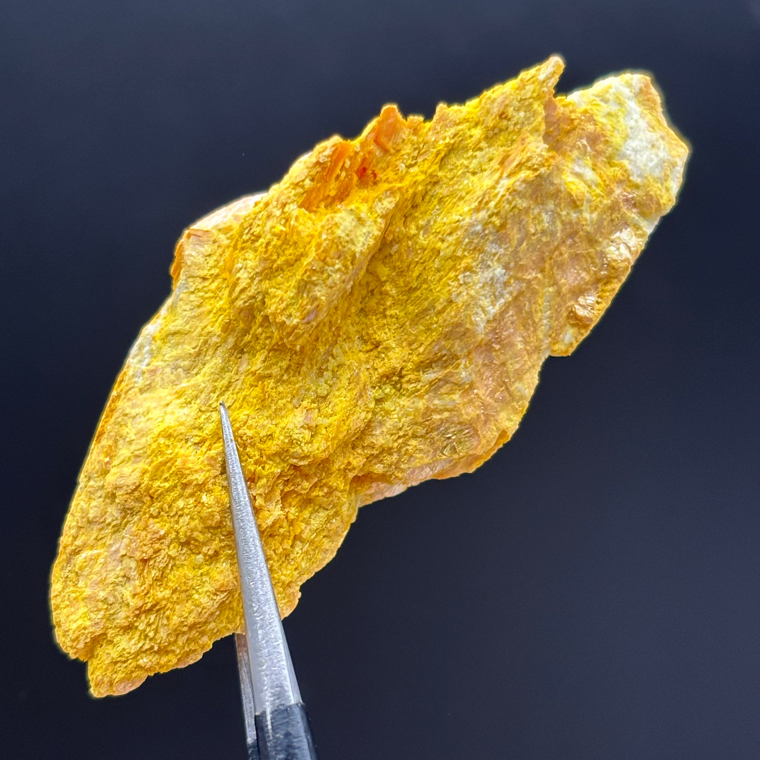 Siberian Orpiment - 081