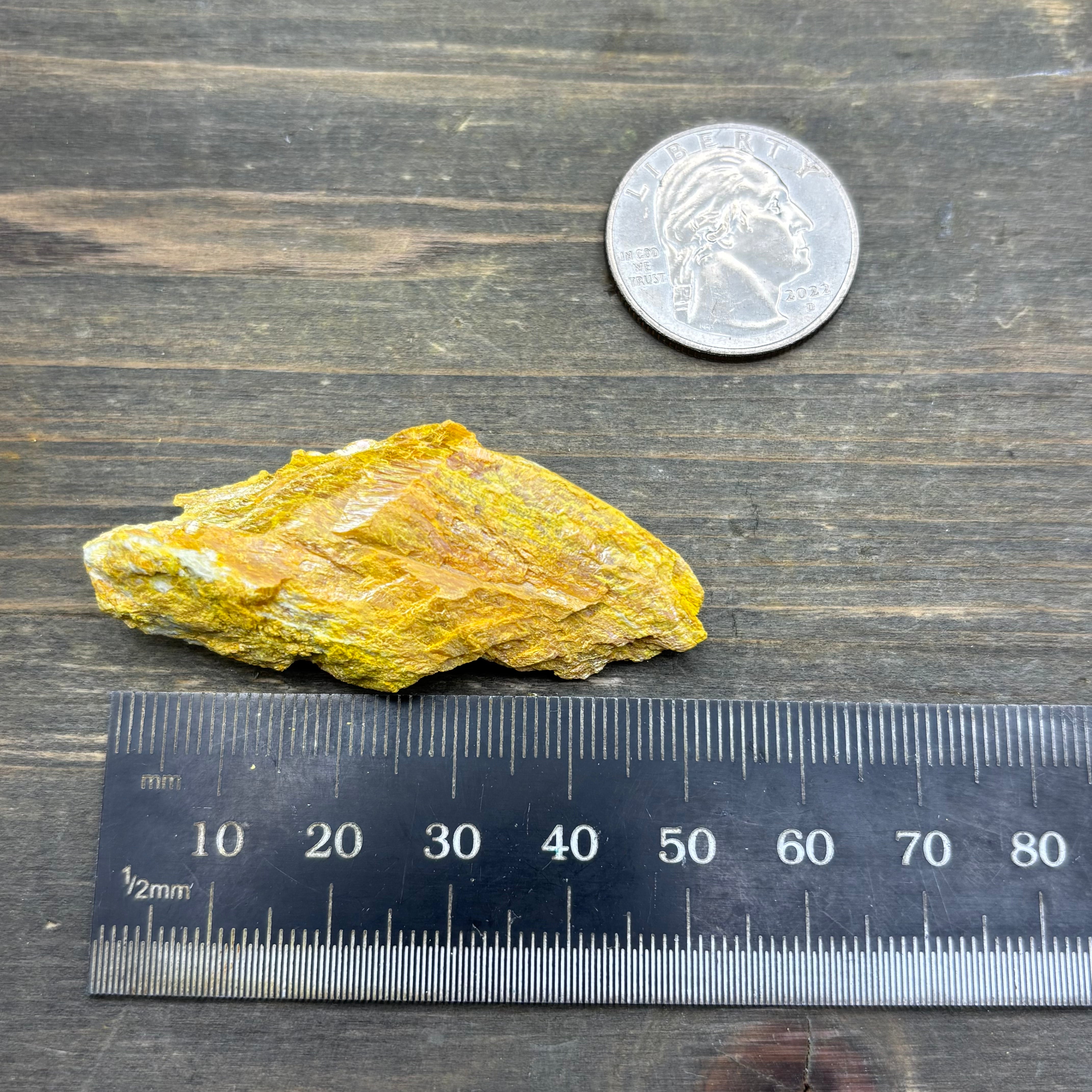 Siberian Orpiment - 081