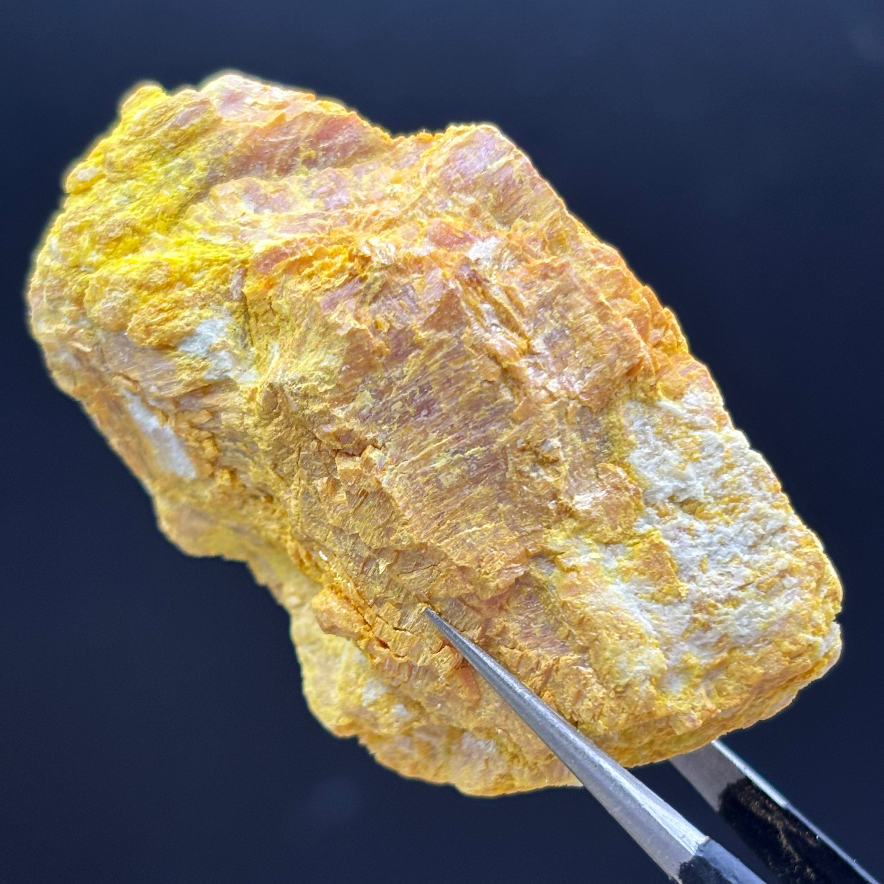 Siberian Orpiment - 082