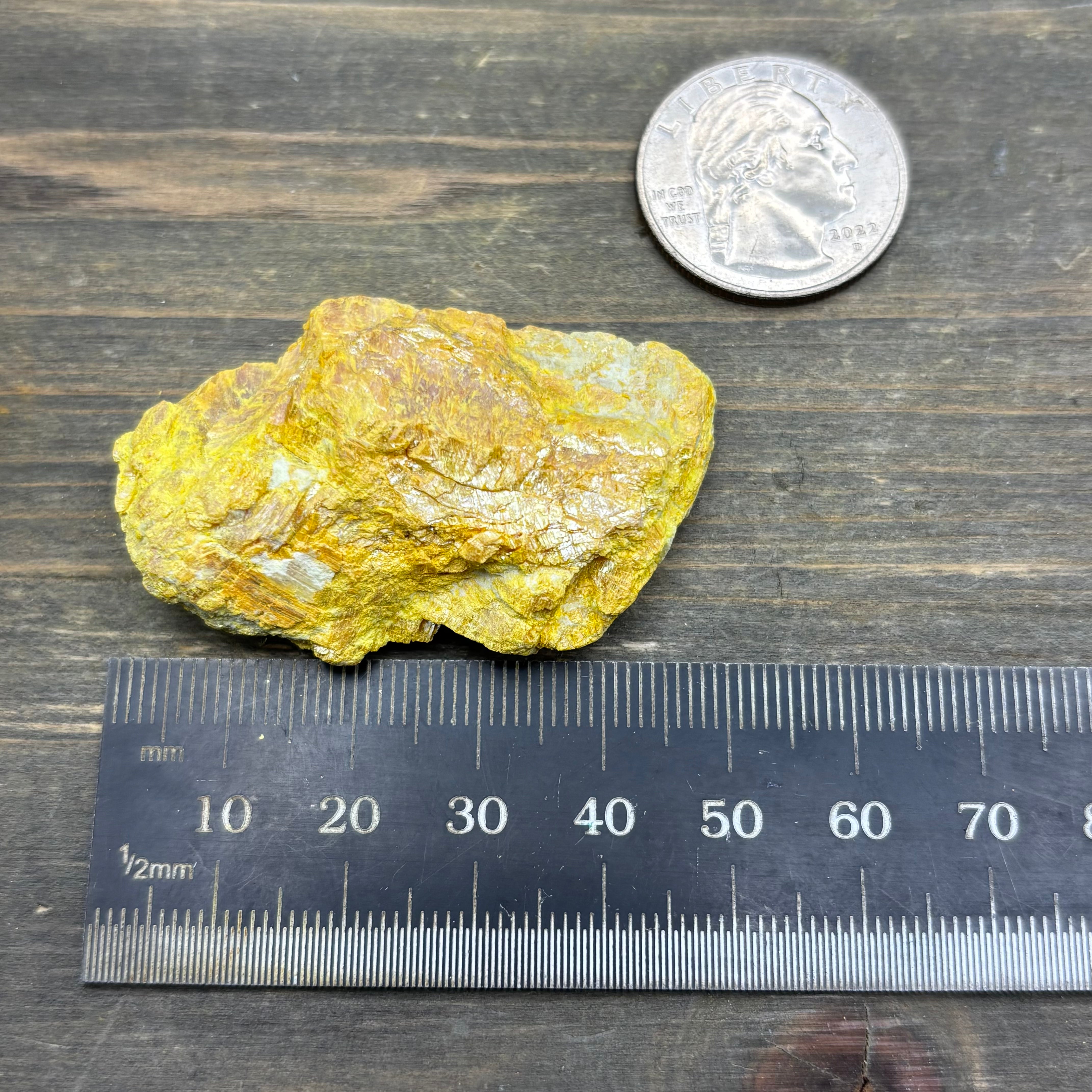 Siberian Orpiment - 082