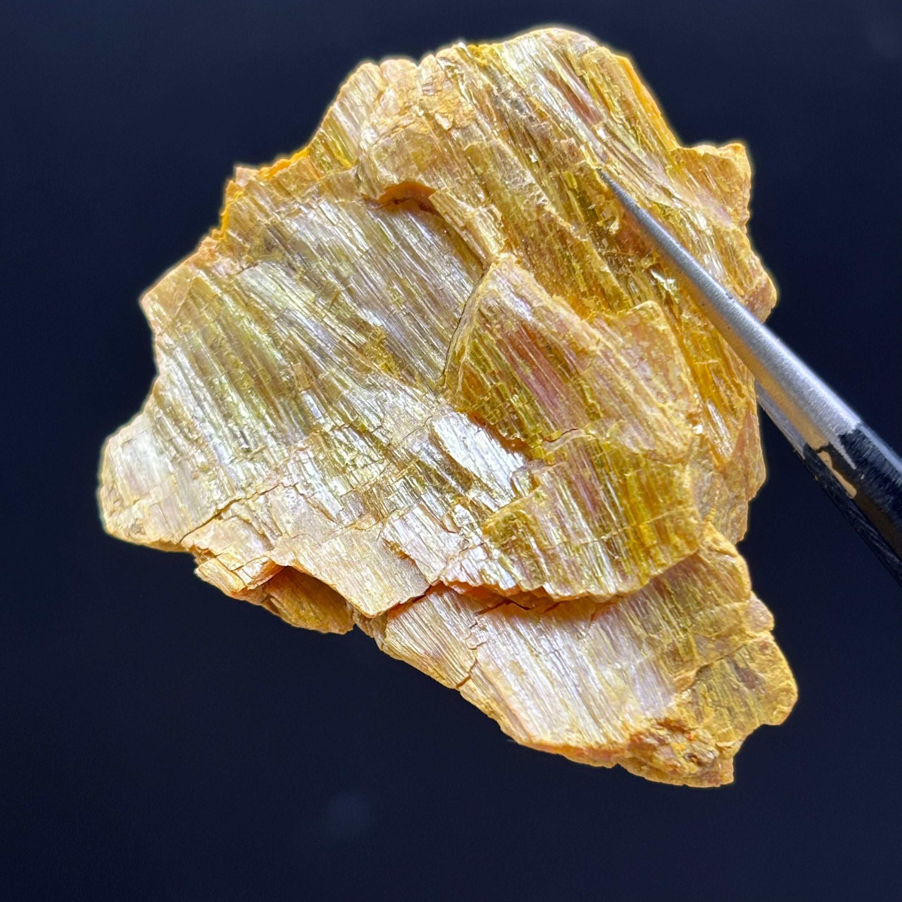 Siberian Orpiment - 083