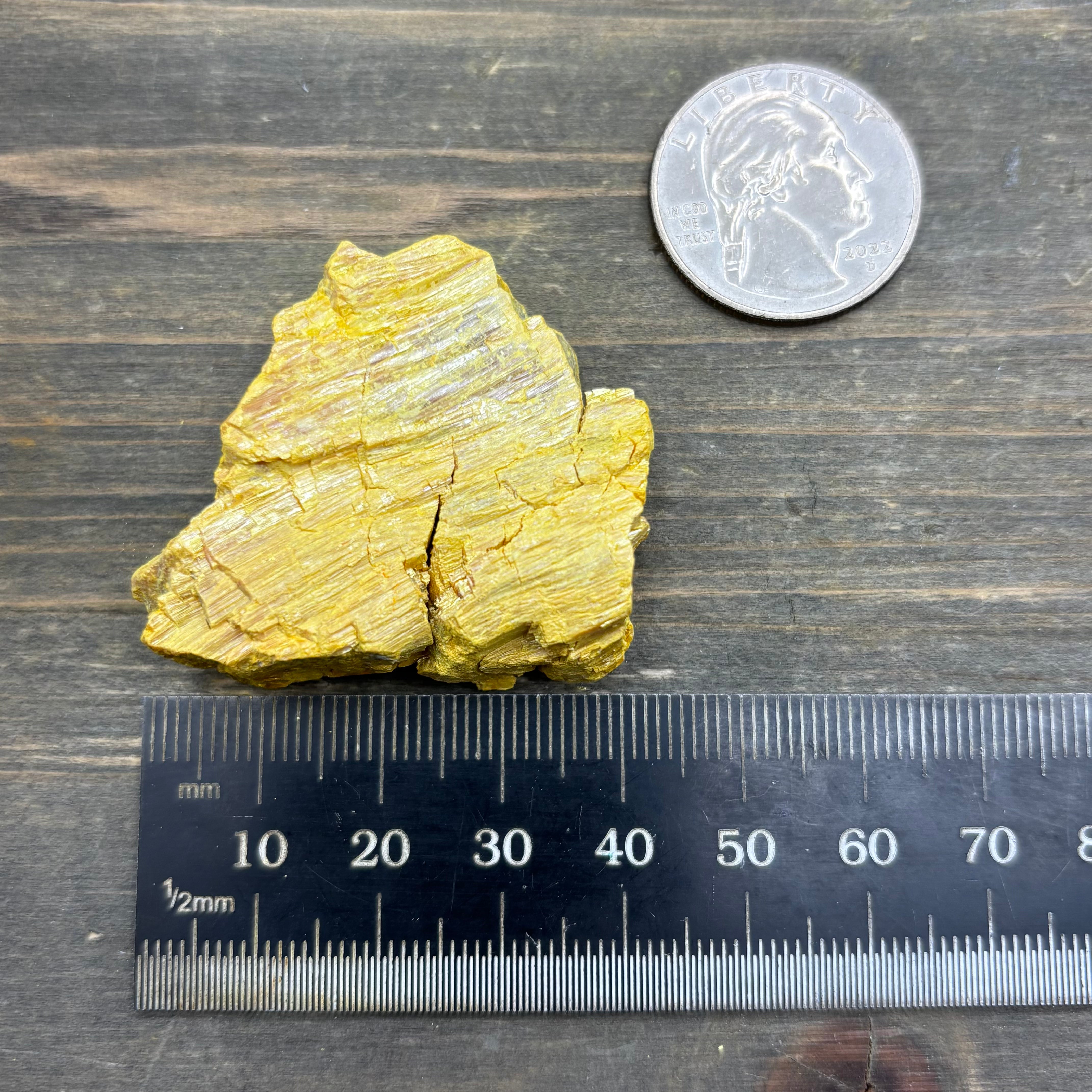 Siberian Orpiment - 083