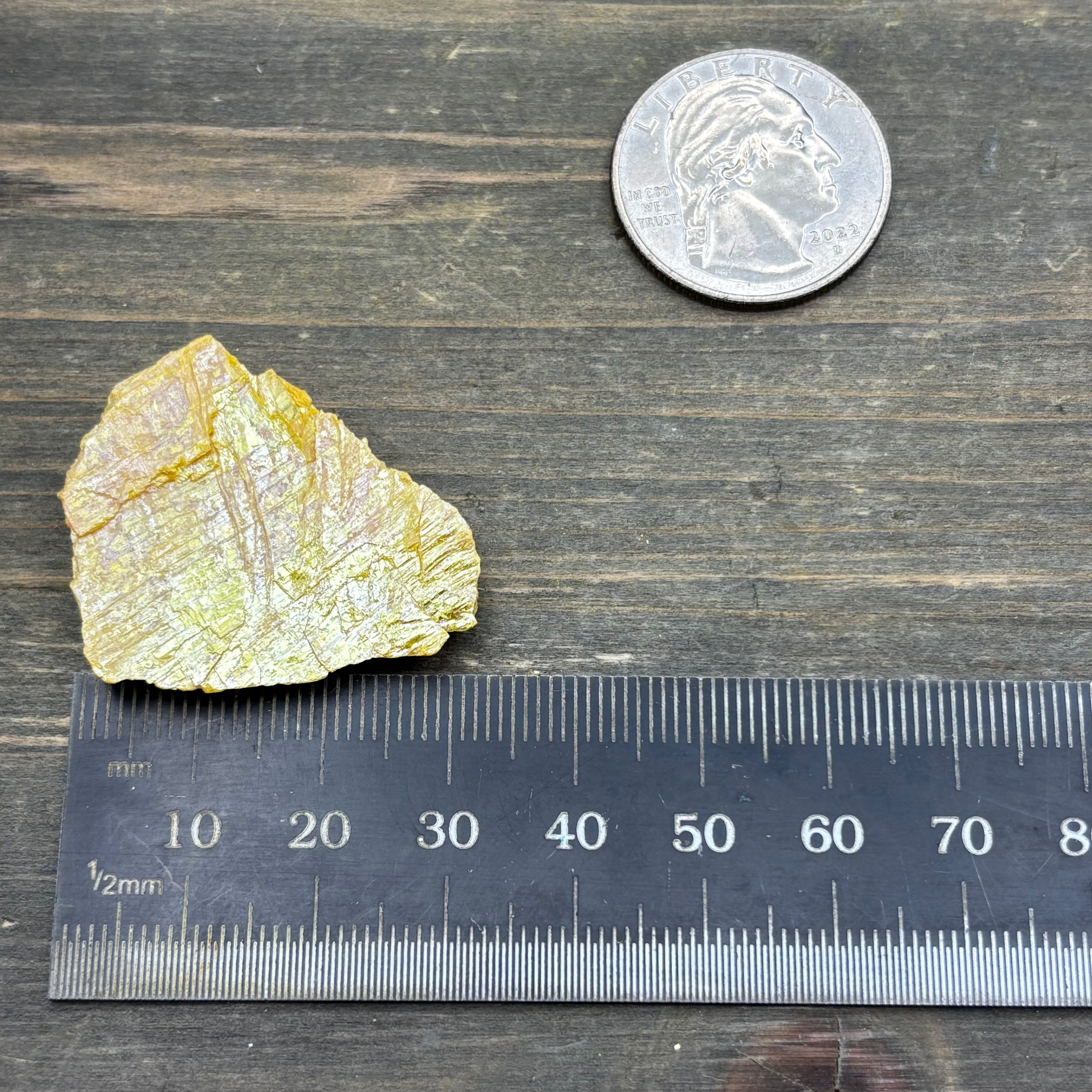 Siberian Orpiment - 084