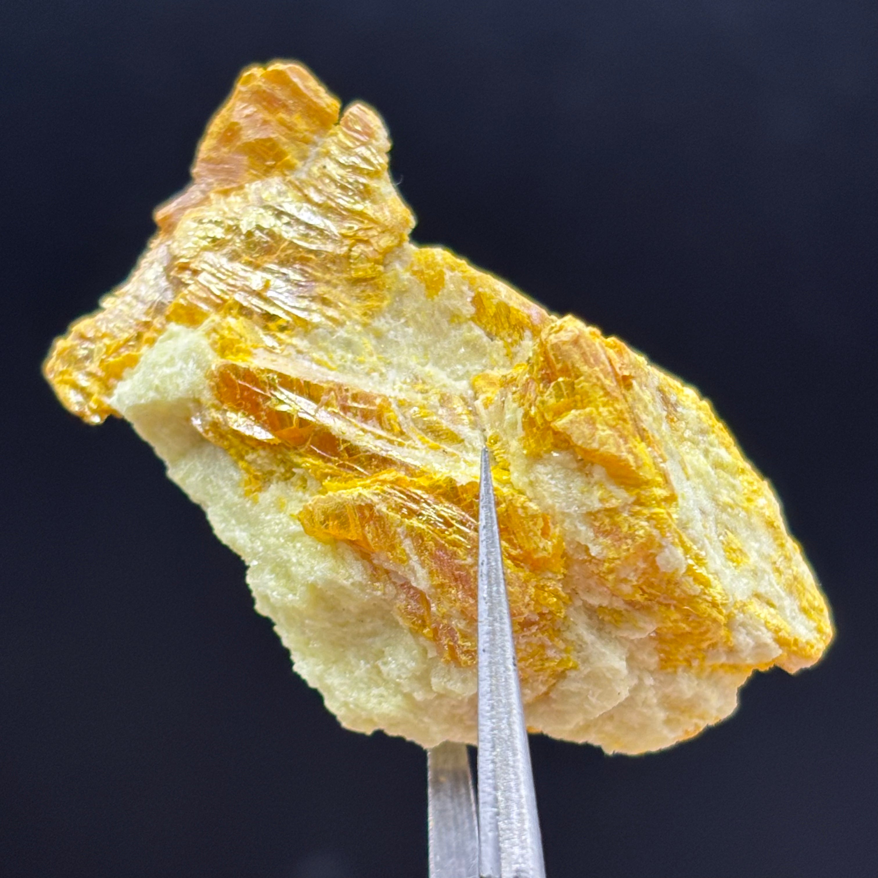 Siberian Orpiment - 085