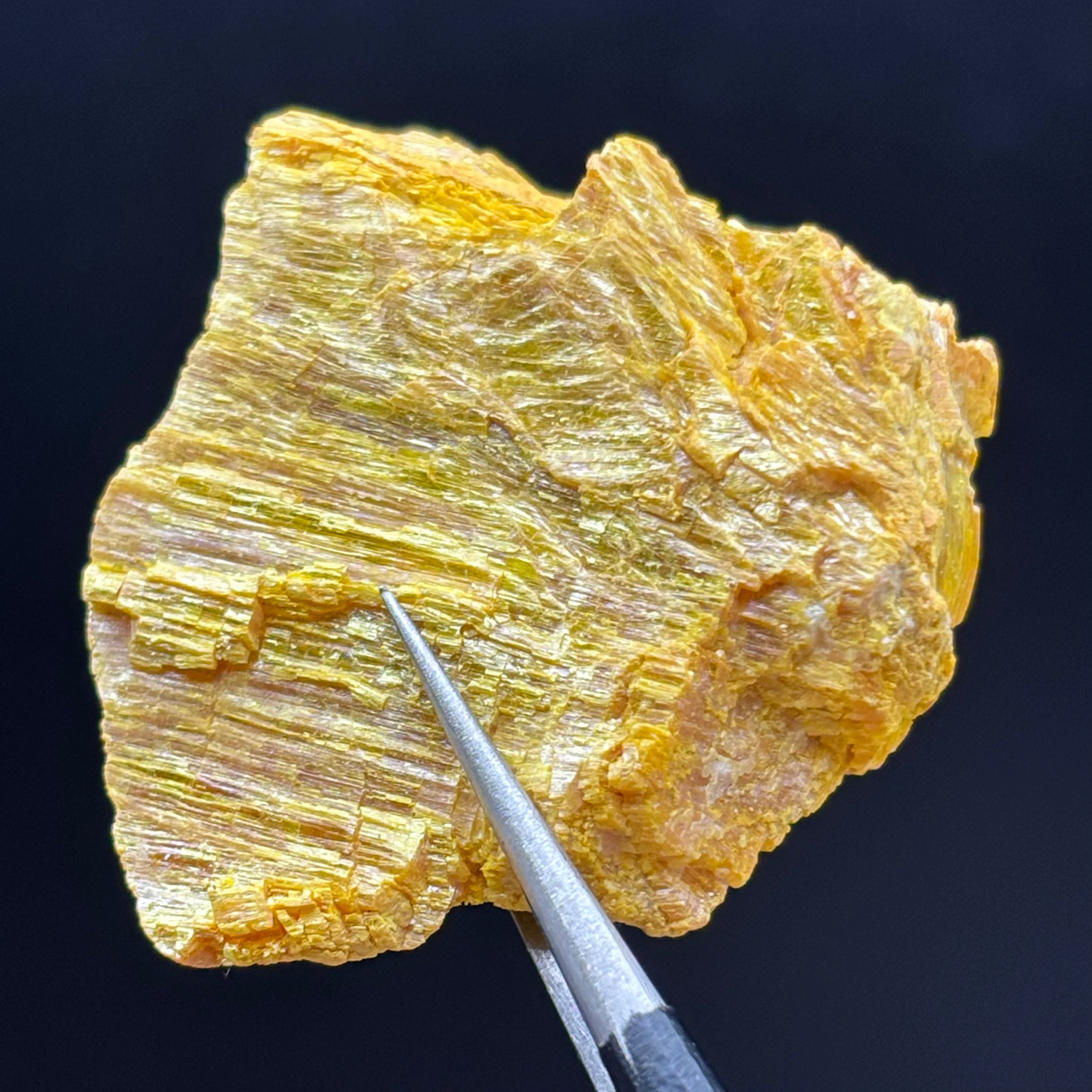 Siberian Orpiment - 086