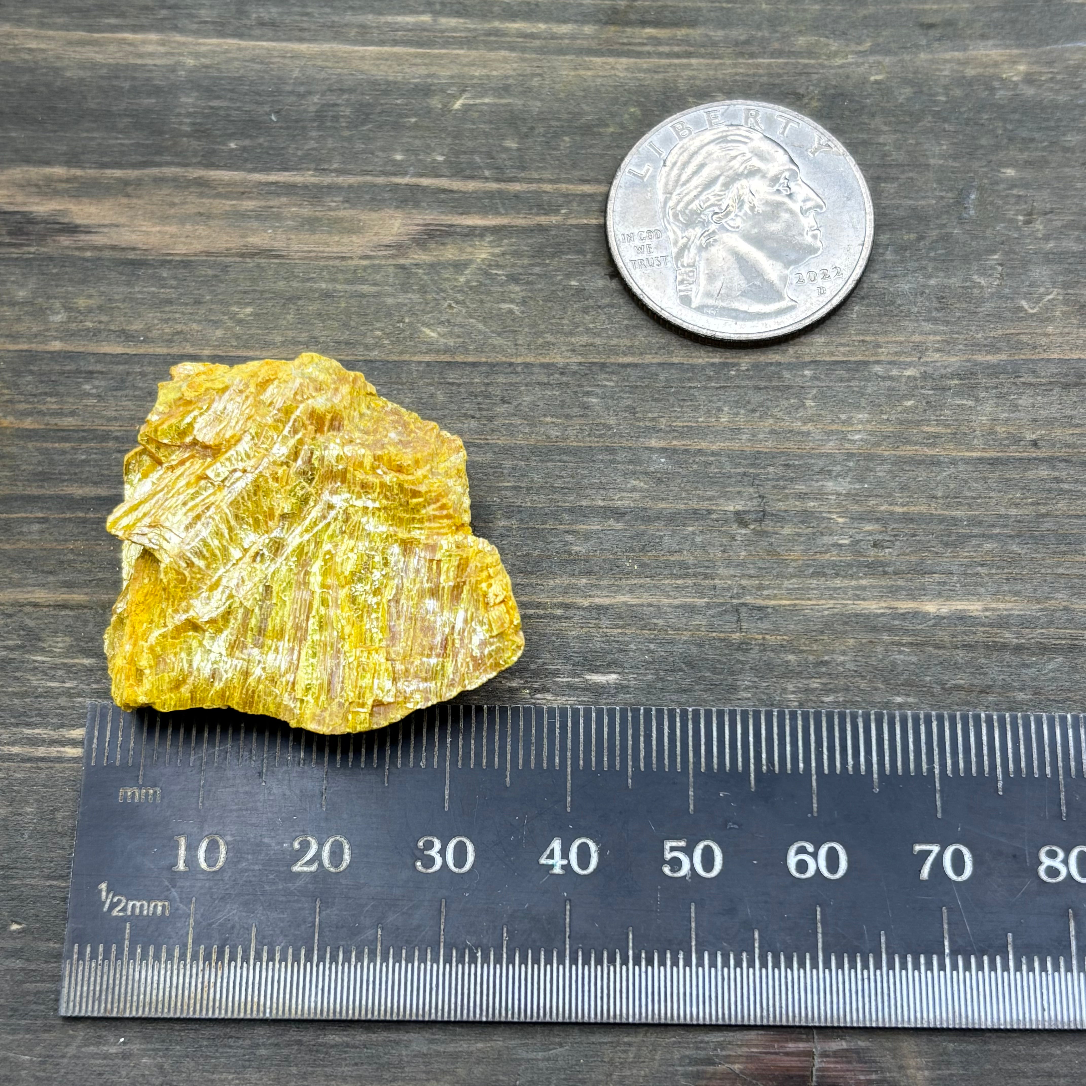 Siberian Orpiment - 086