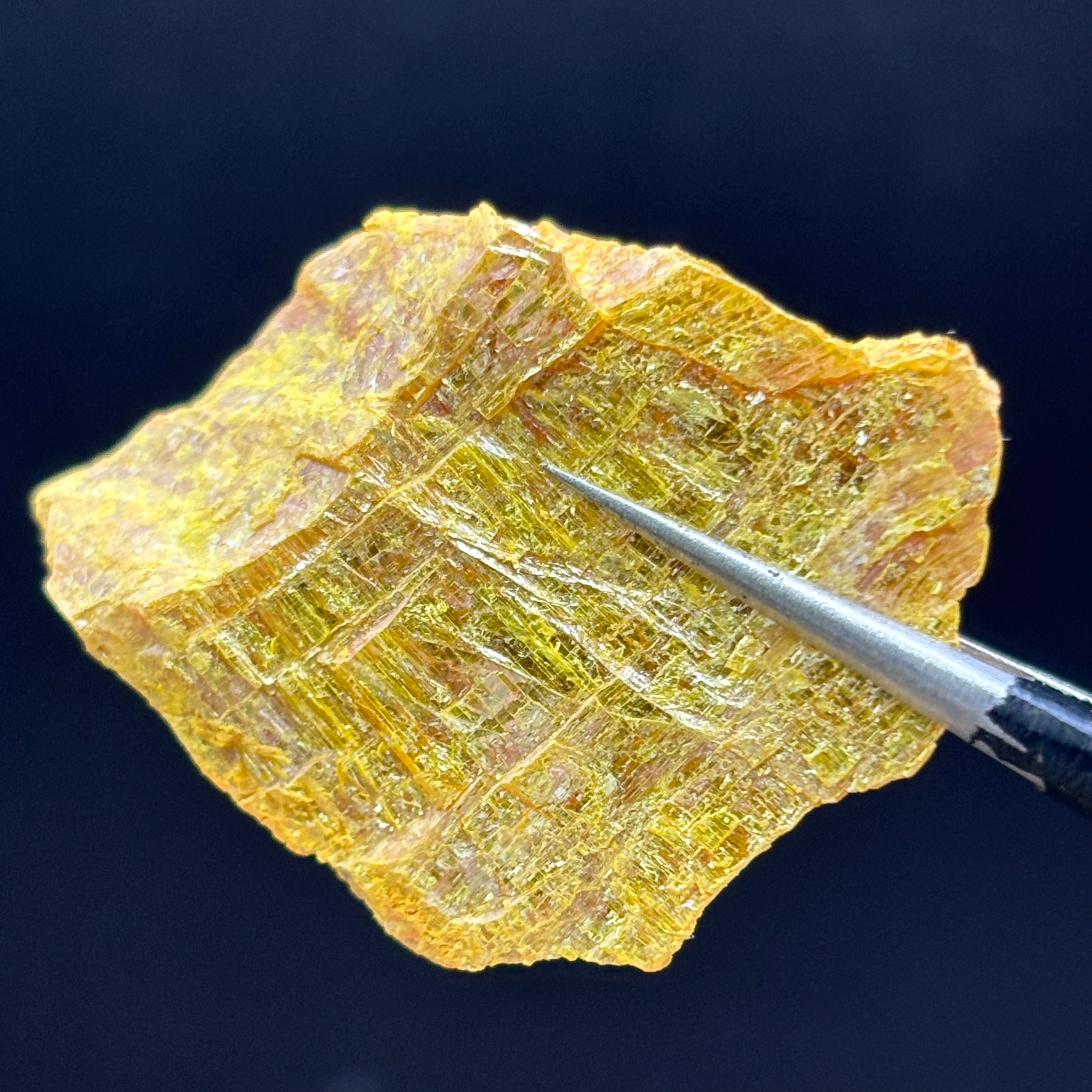 Siberian Orpiment - 087