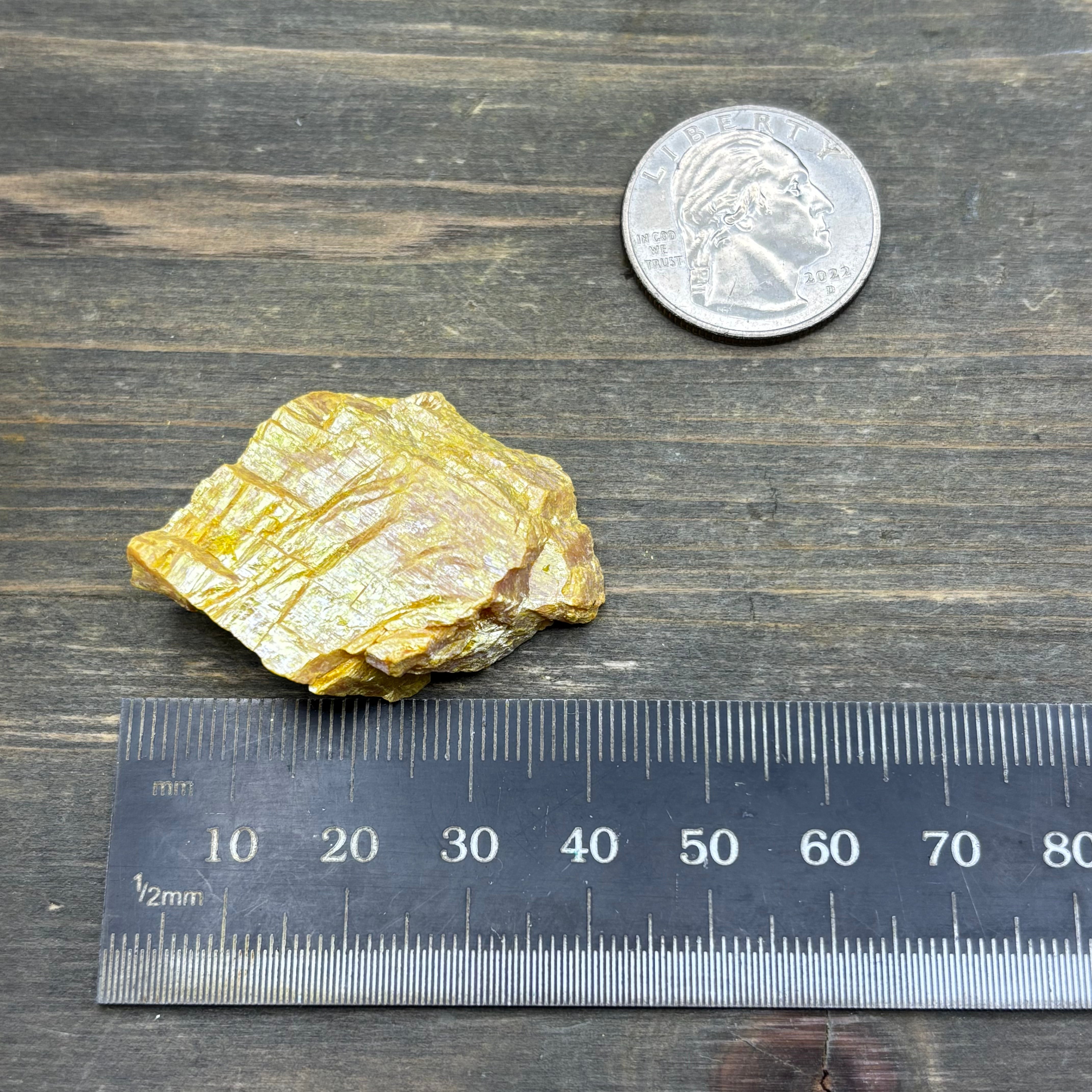 Siberian Orpiment - 087