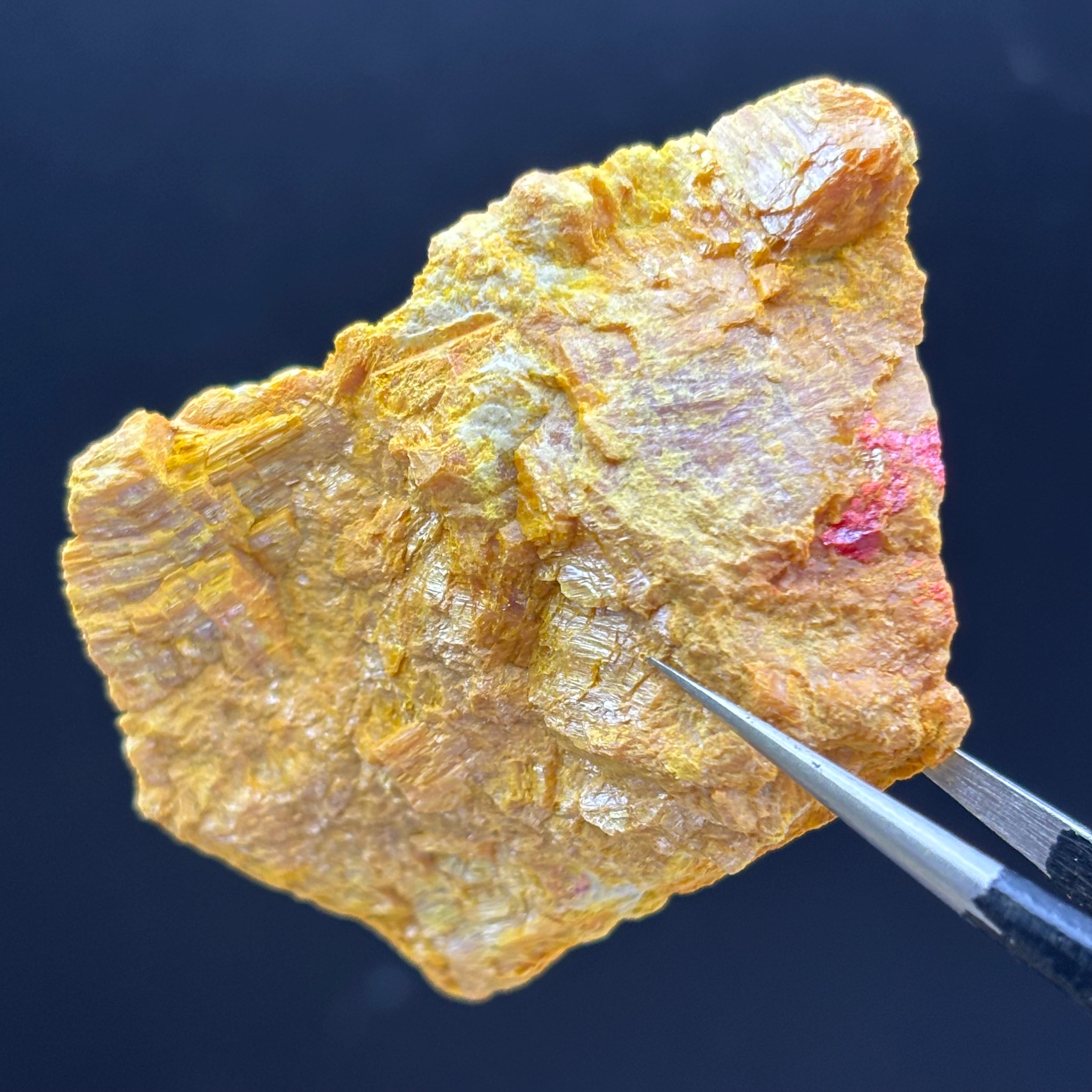 Siberian Orpiment - 088