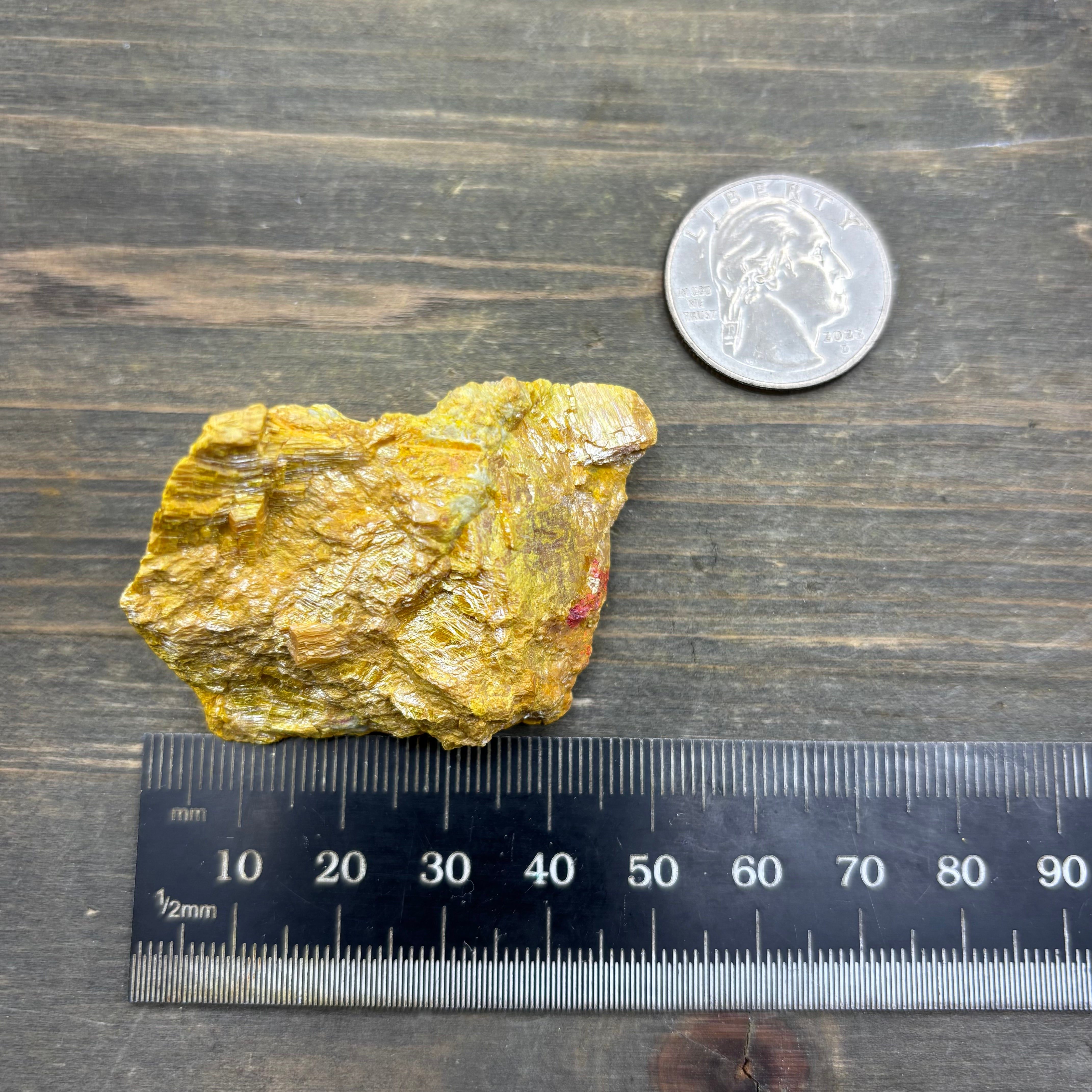 Siberian Orpiment - 088