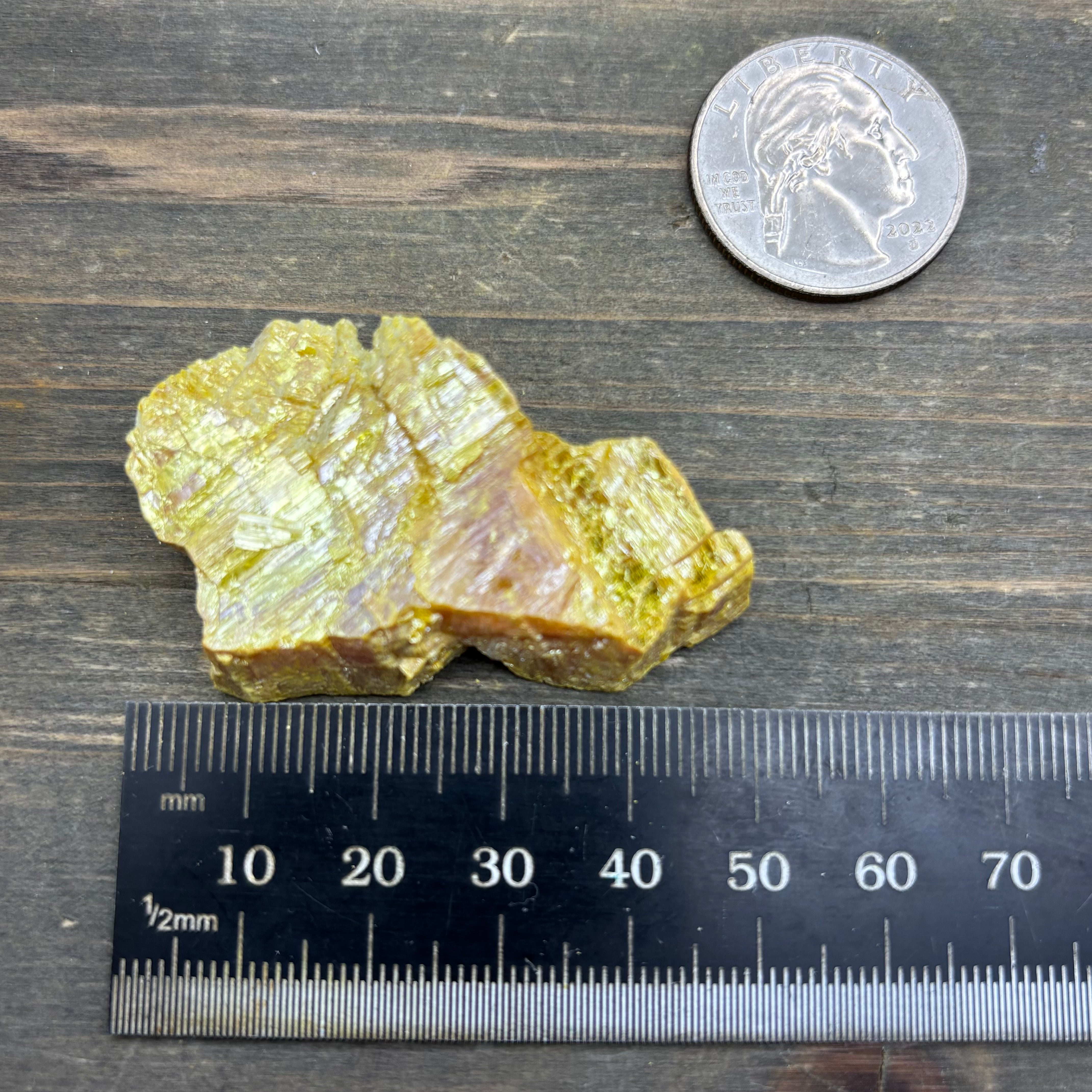 Siberian Orpiment - 089