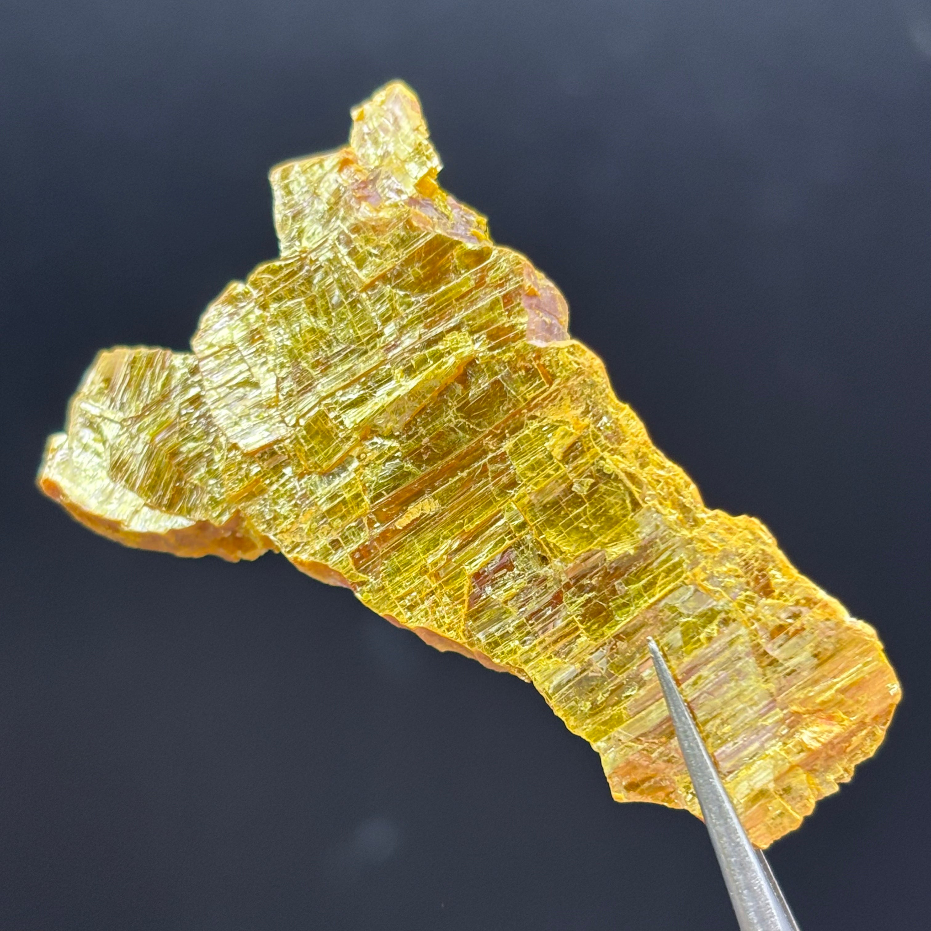 Siberian Orpiment - 090