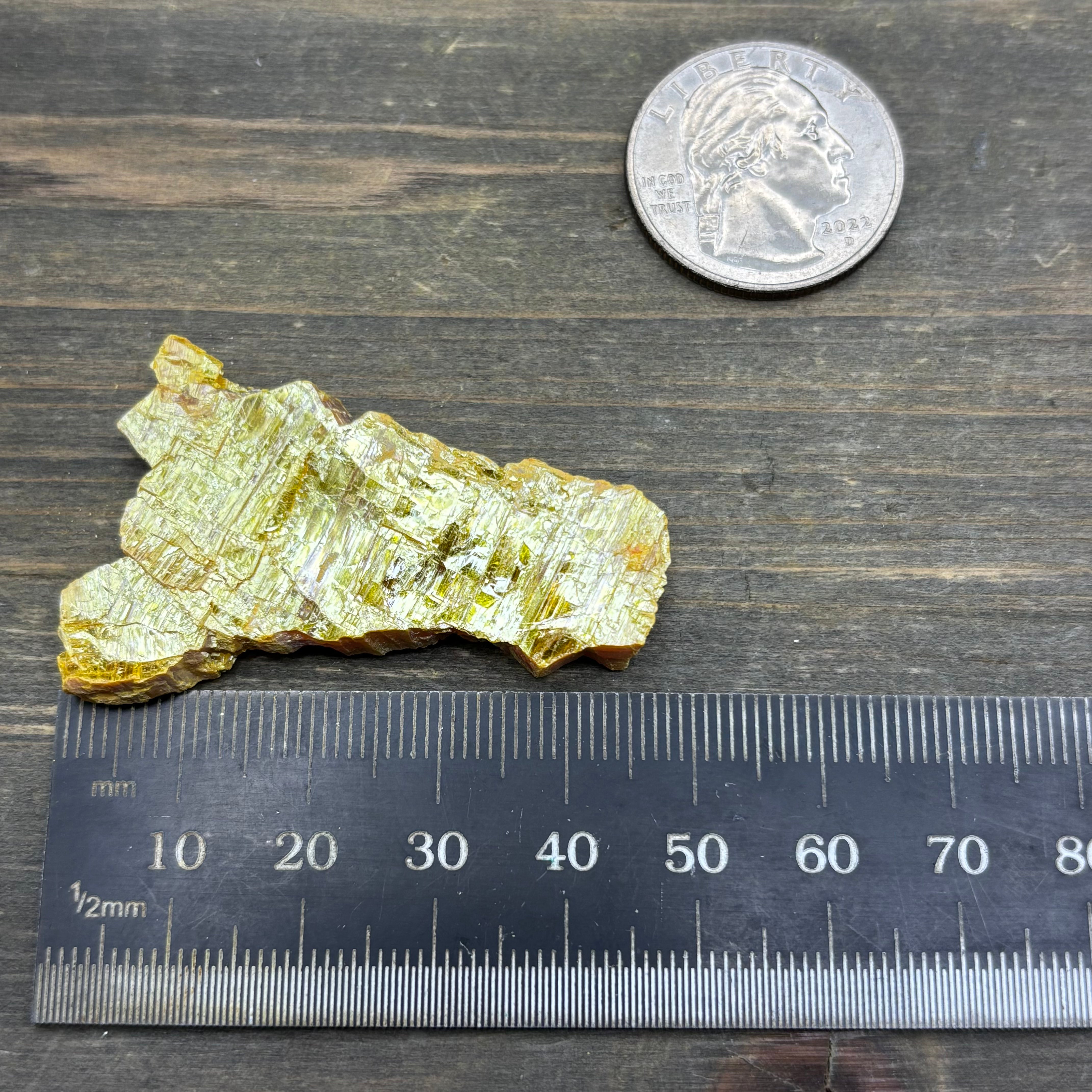 Siberian Orpiment - 090