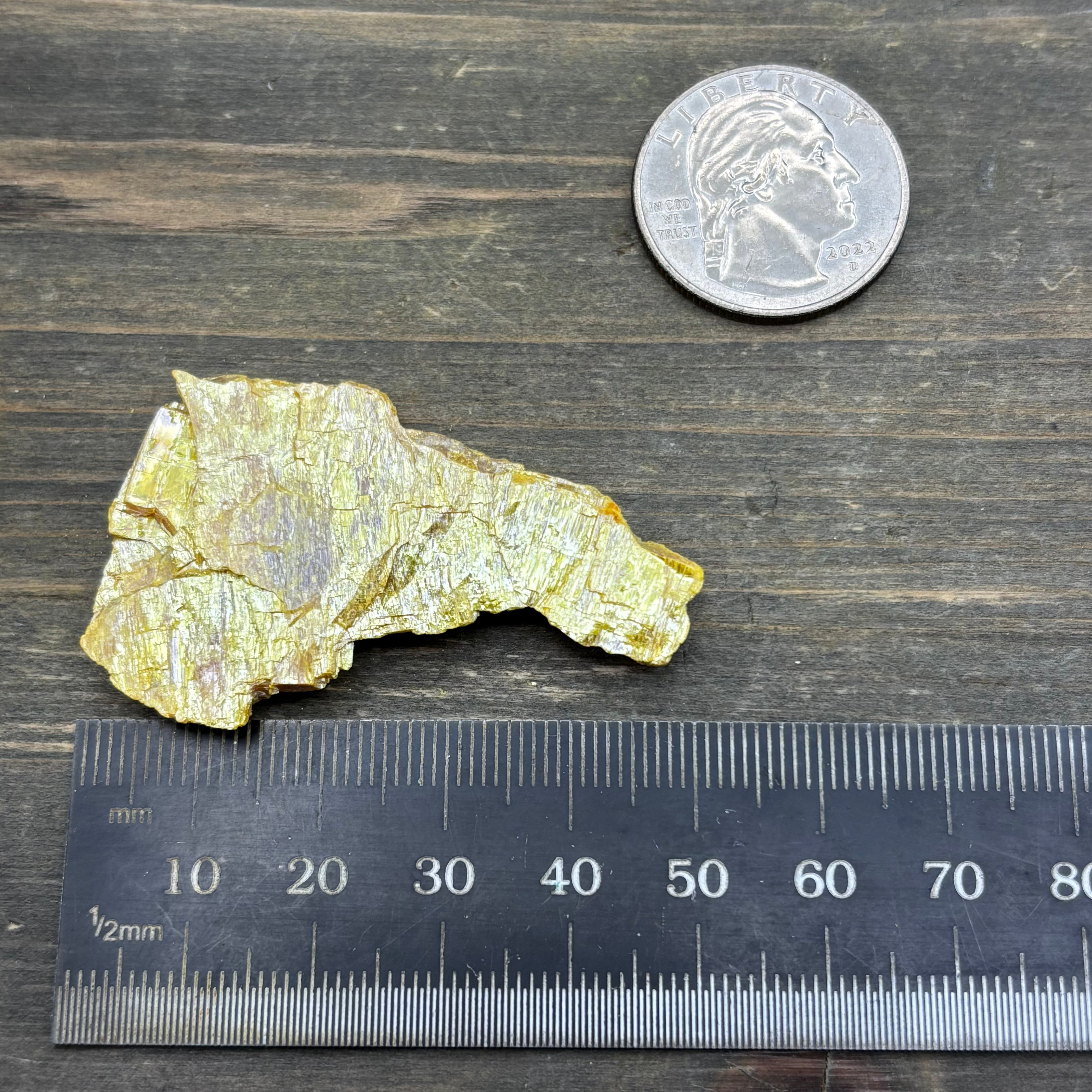 Siberian Orpiment - 091