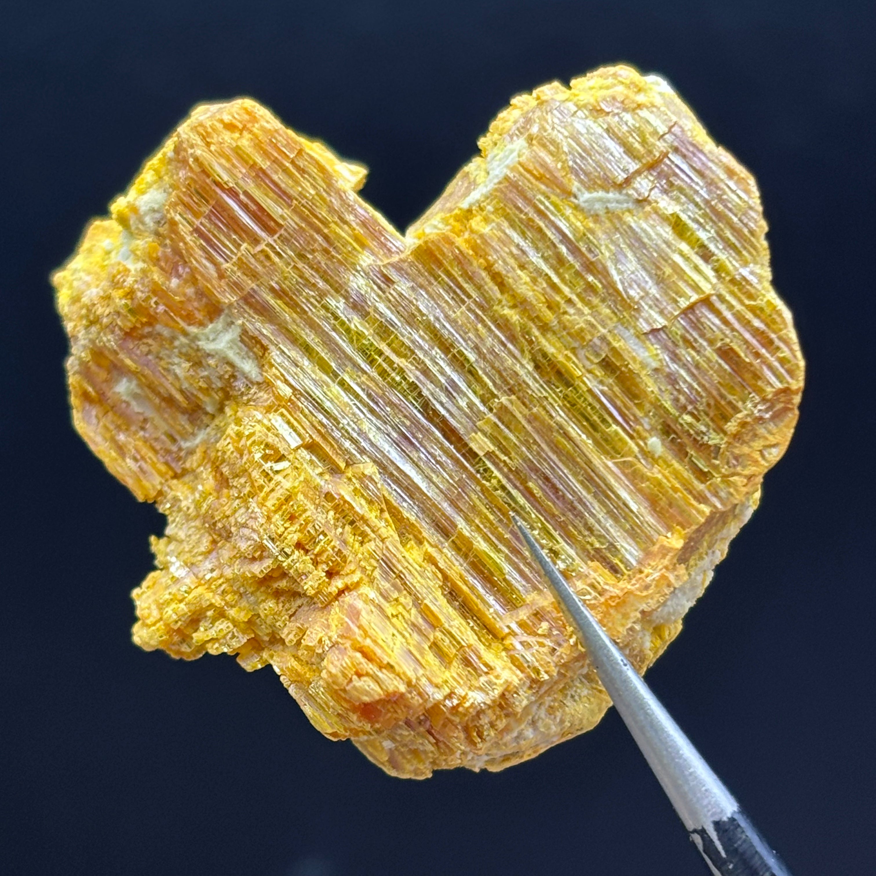 Siberian Orpiment - 092