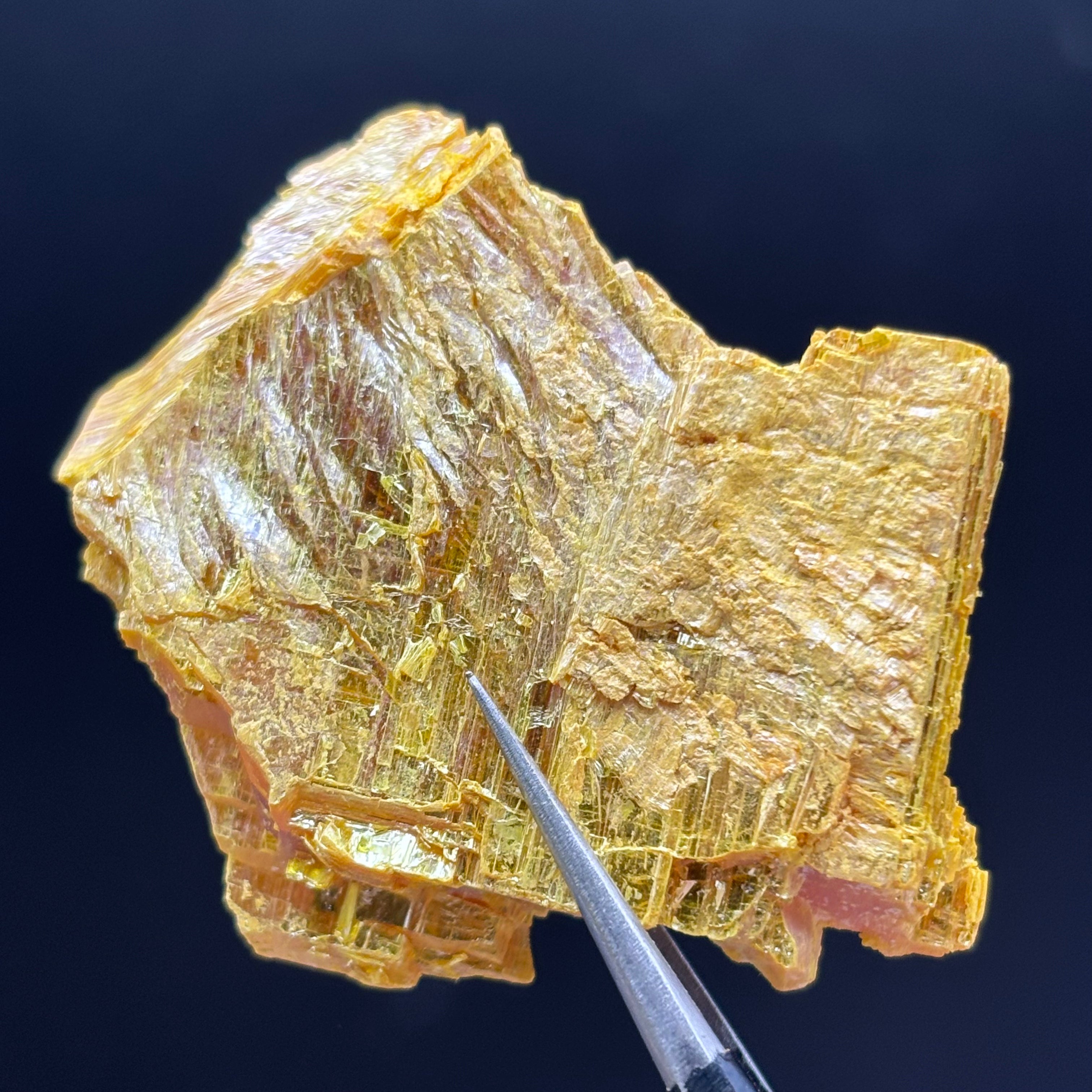Siberian Orpiment - 093