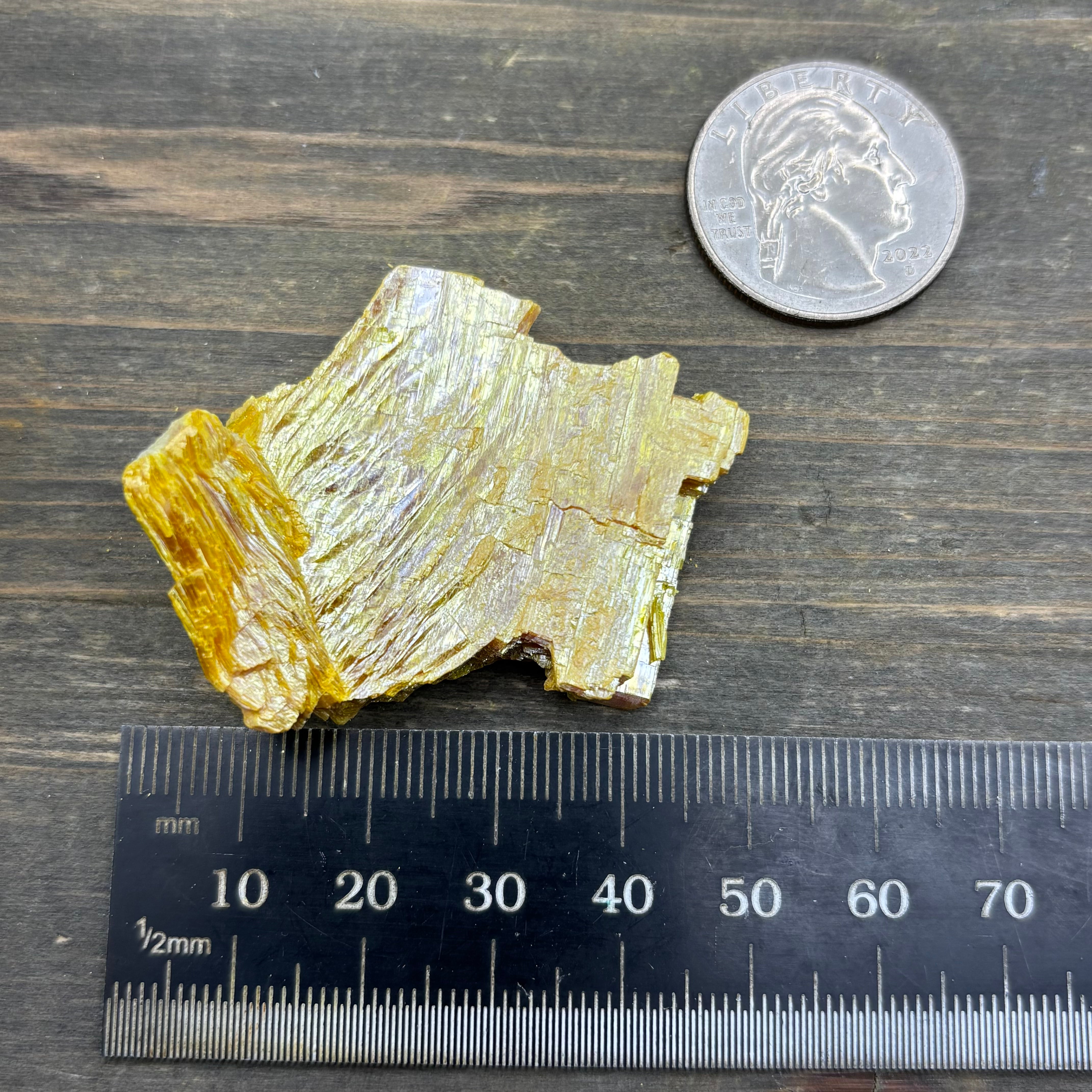 Siberian Orpiment - 093