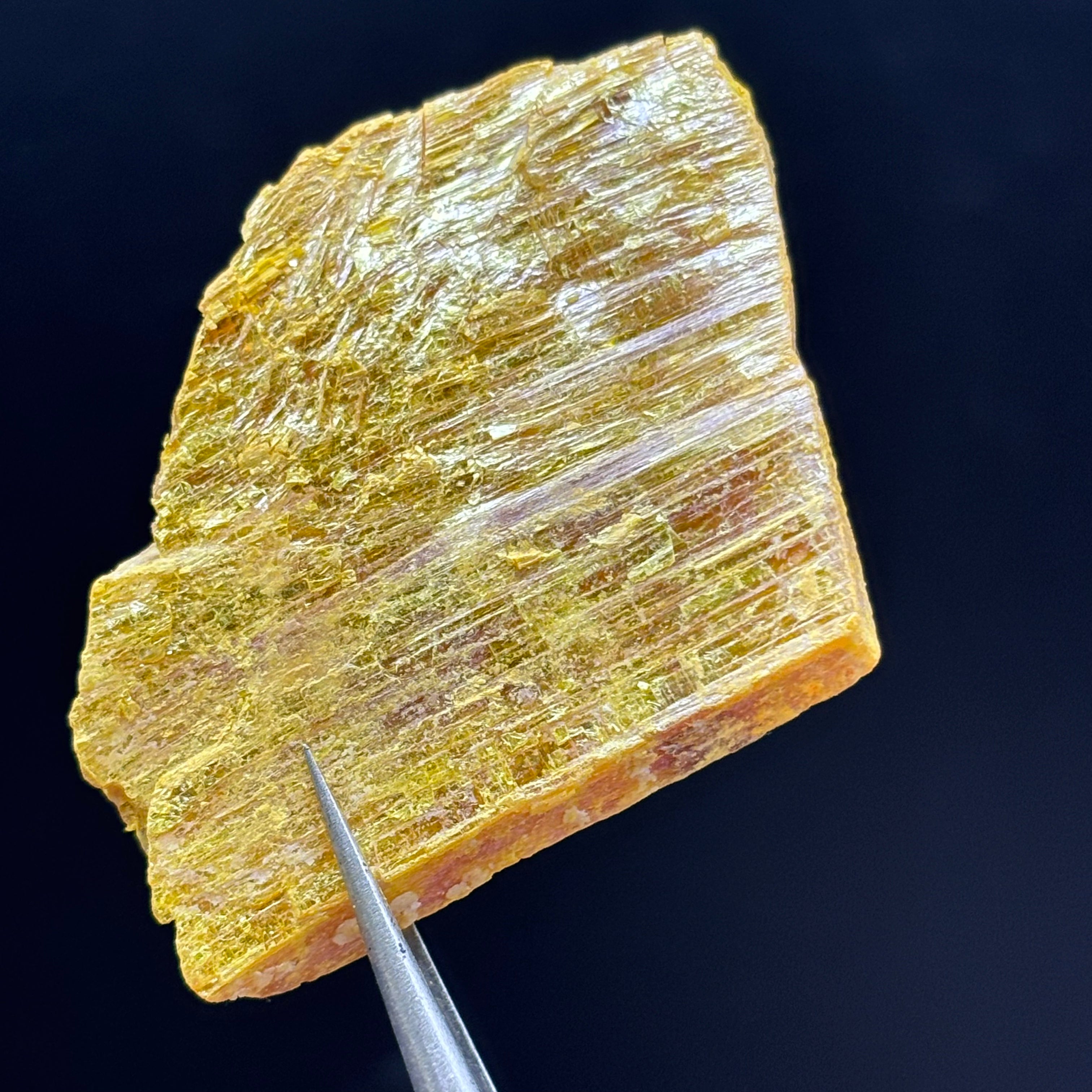 Siberian Orpiment - 095