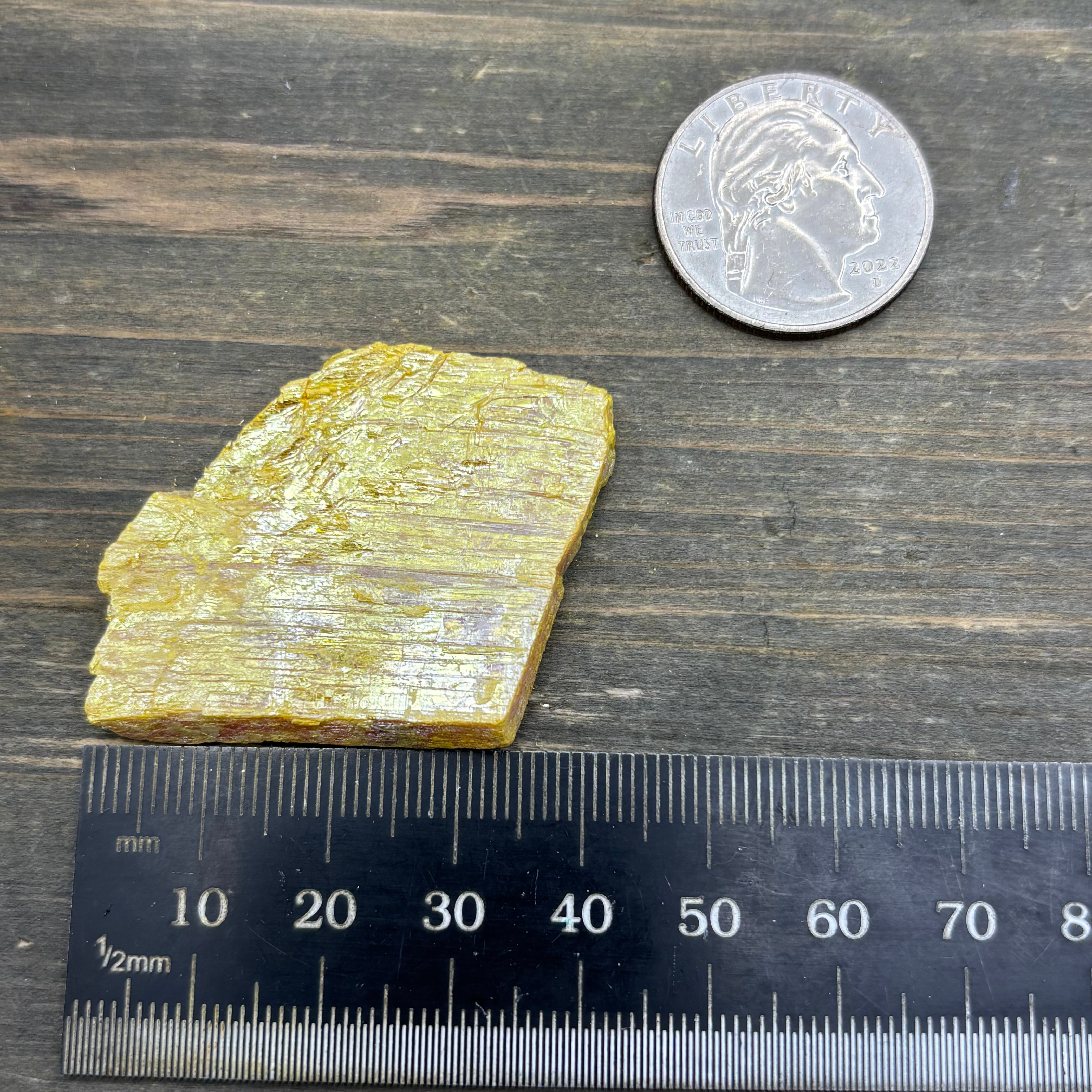 Siberian Orpiment - 095