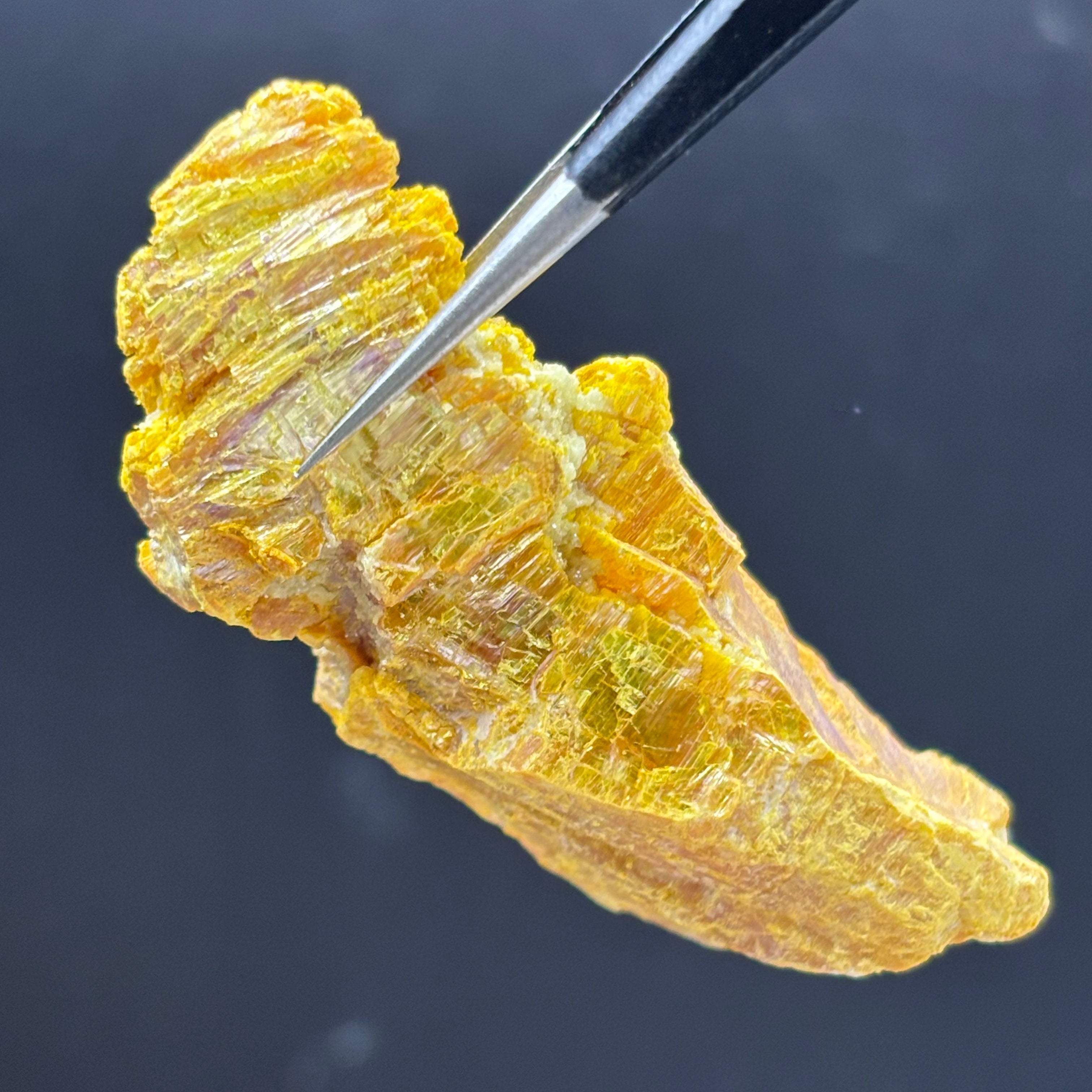 Siberian Orpiment - 097