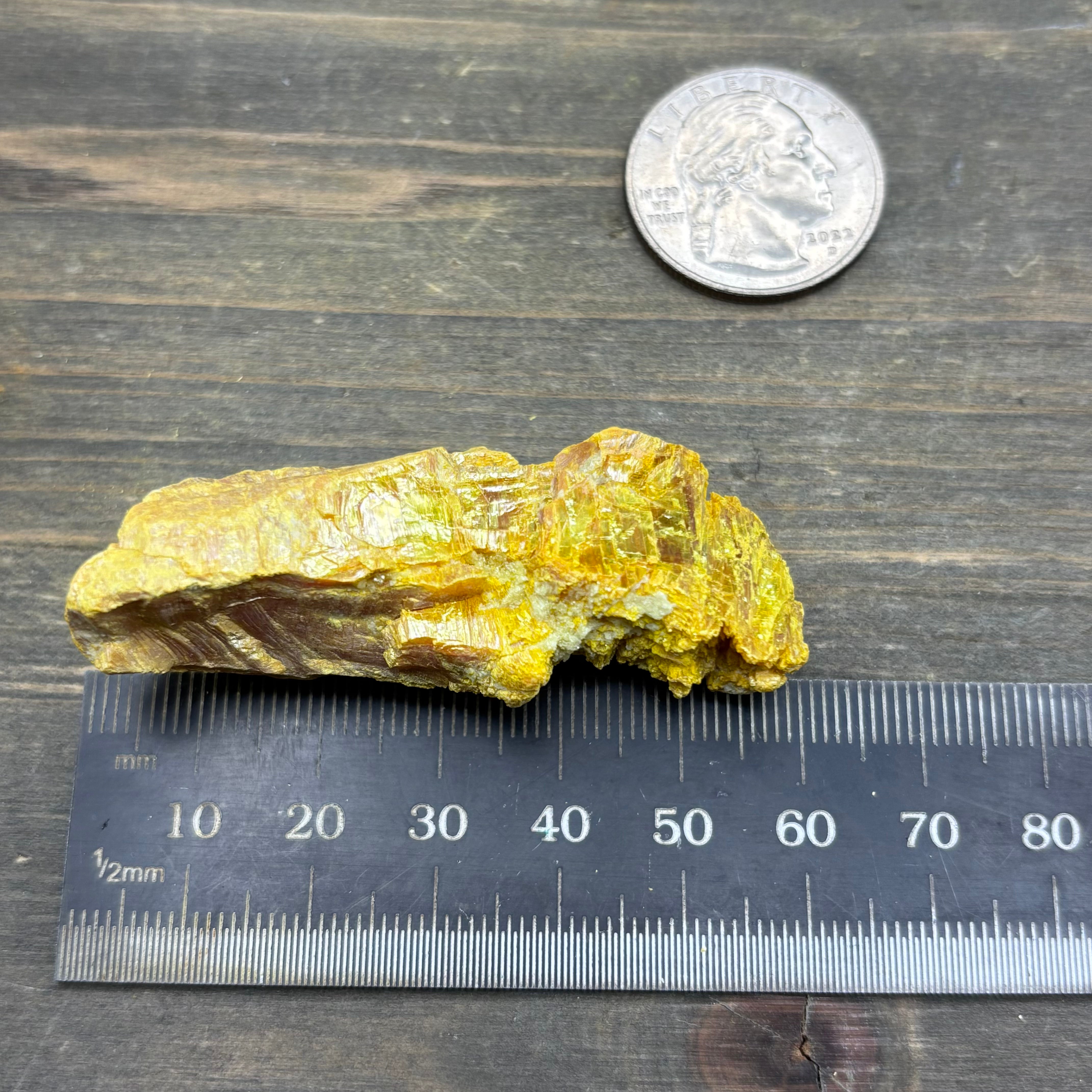 Siberian Orpiment - 097