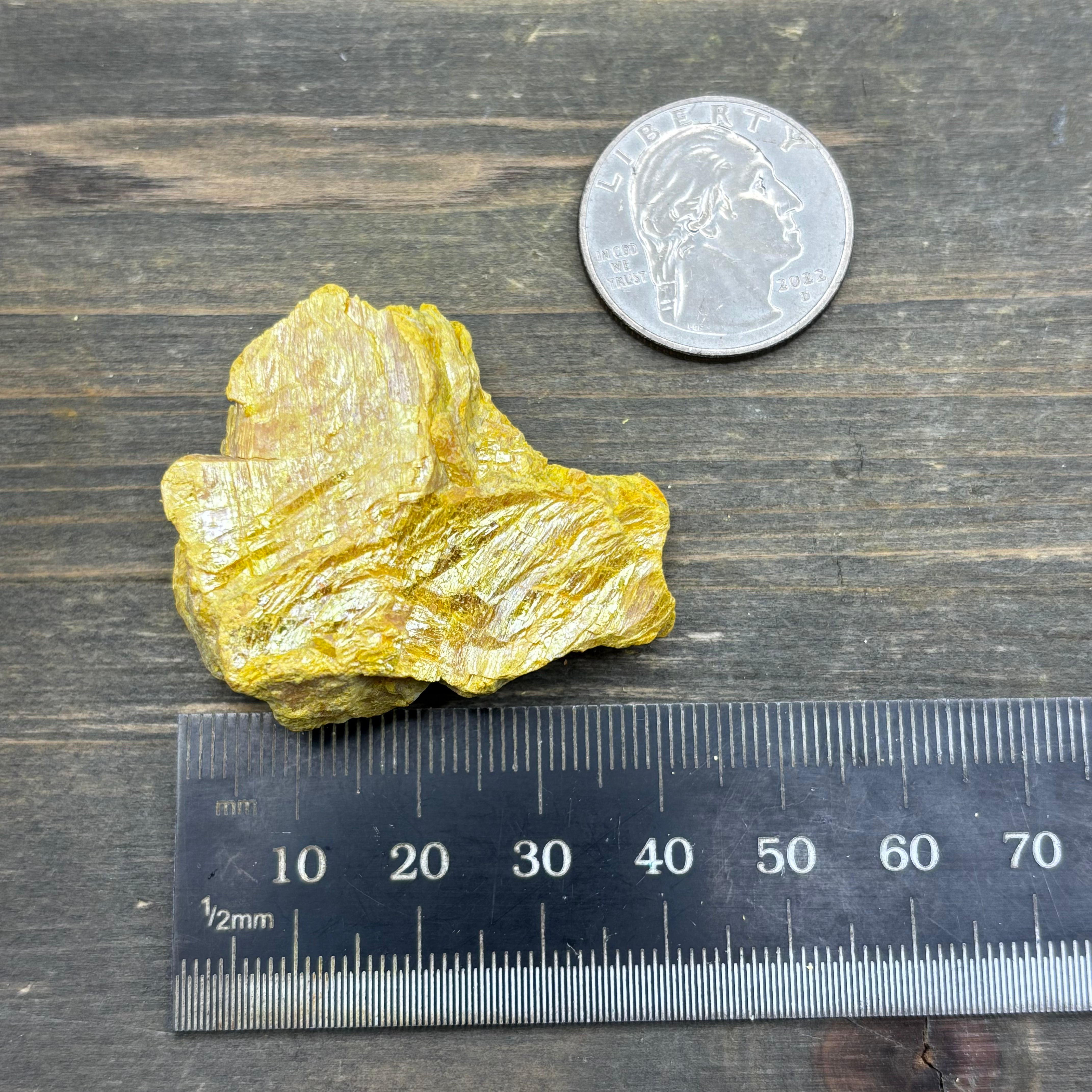 Siberian Orpiment - 079