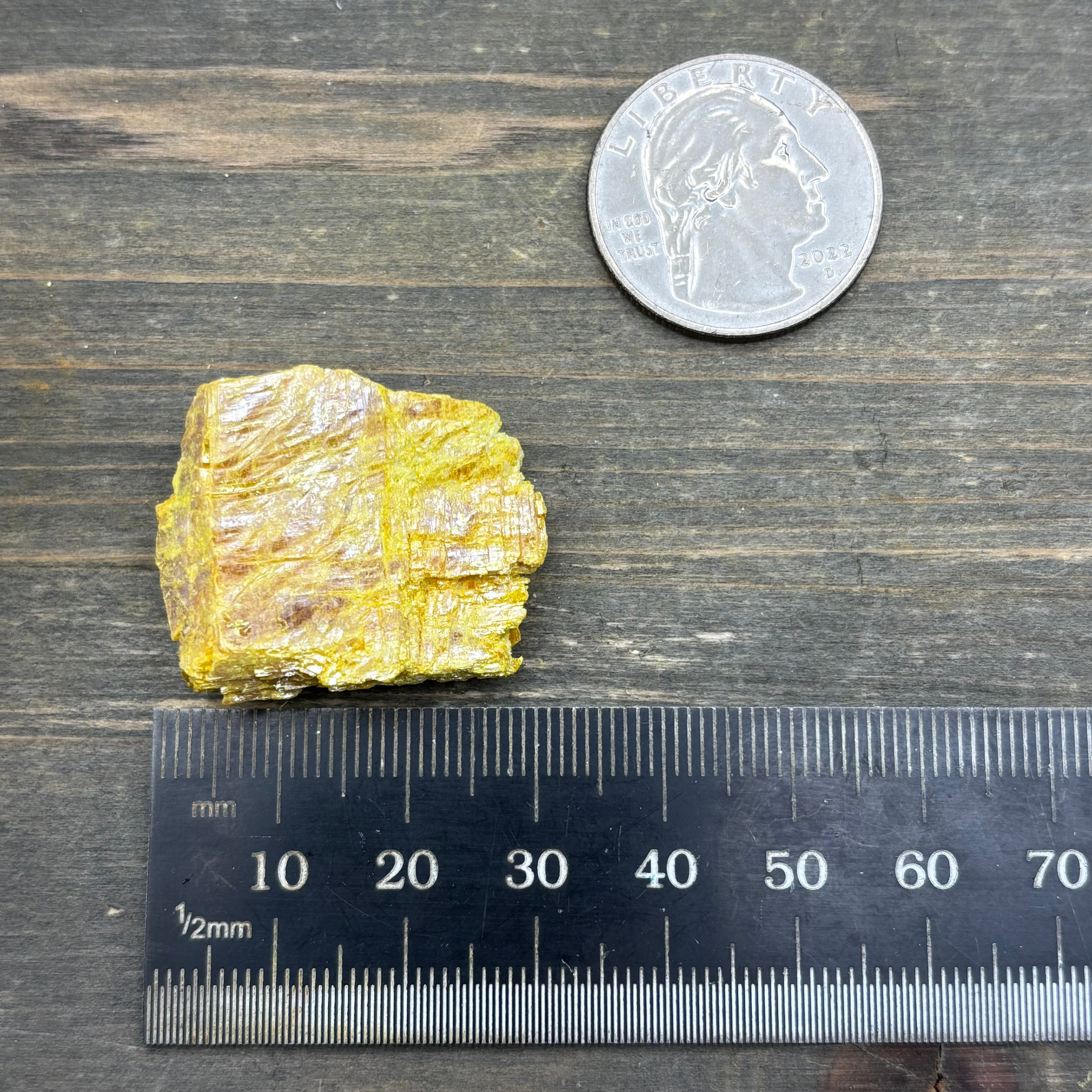 Siberian Orpiment - 094