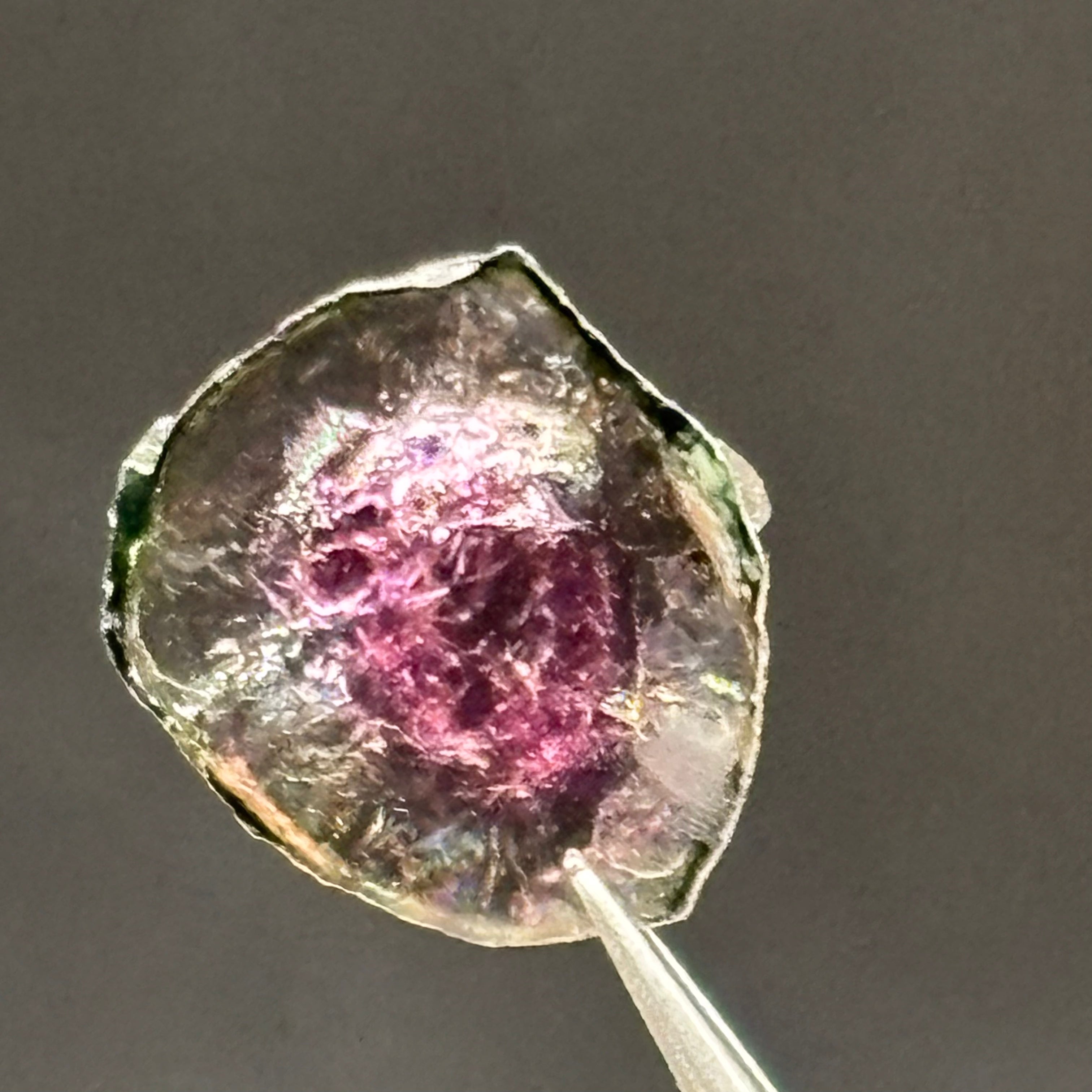 Watermelon Tourmaline Crystal Slice - 109