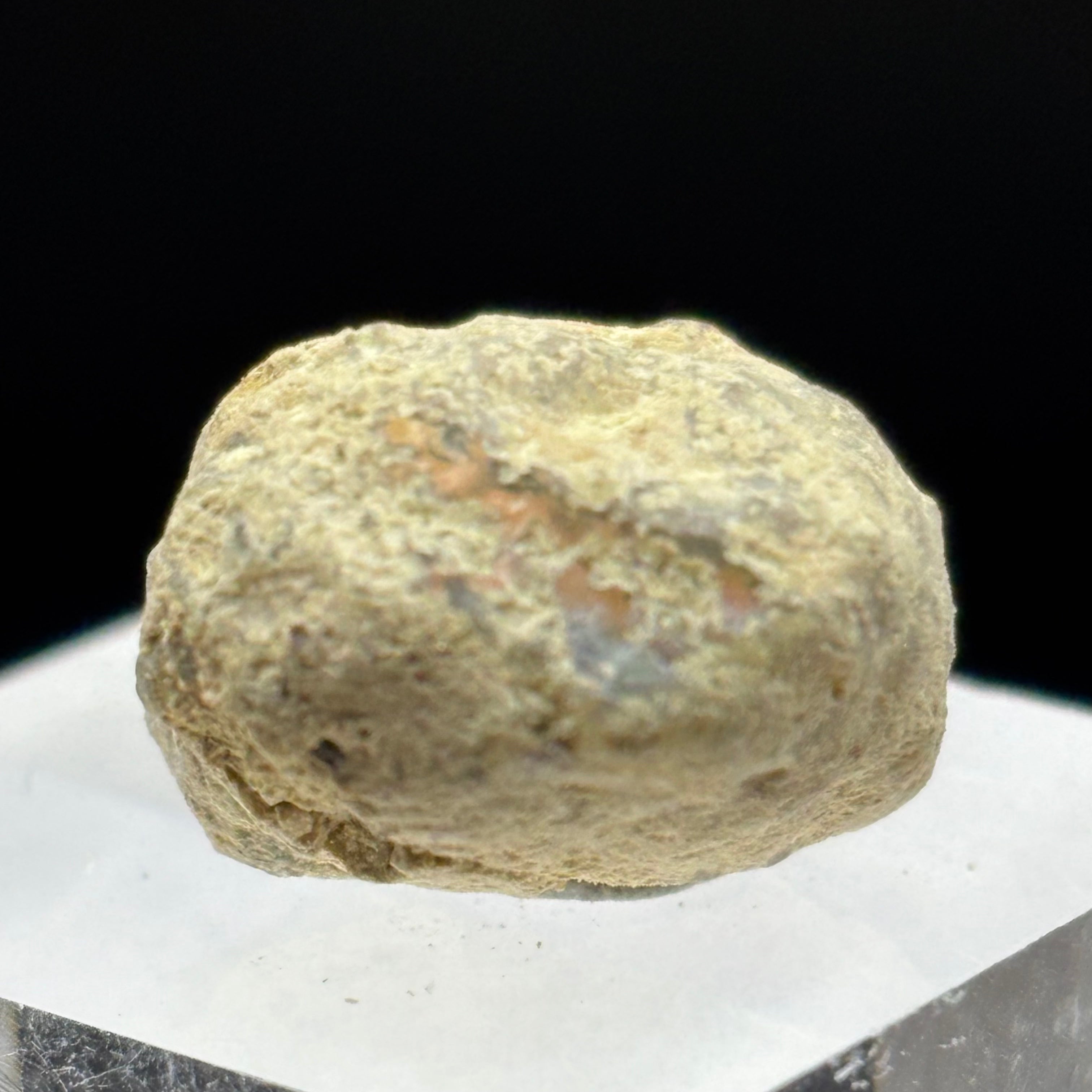 Welo Opal - 168