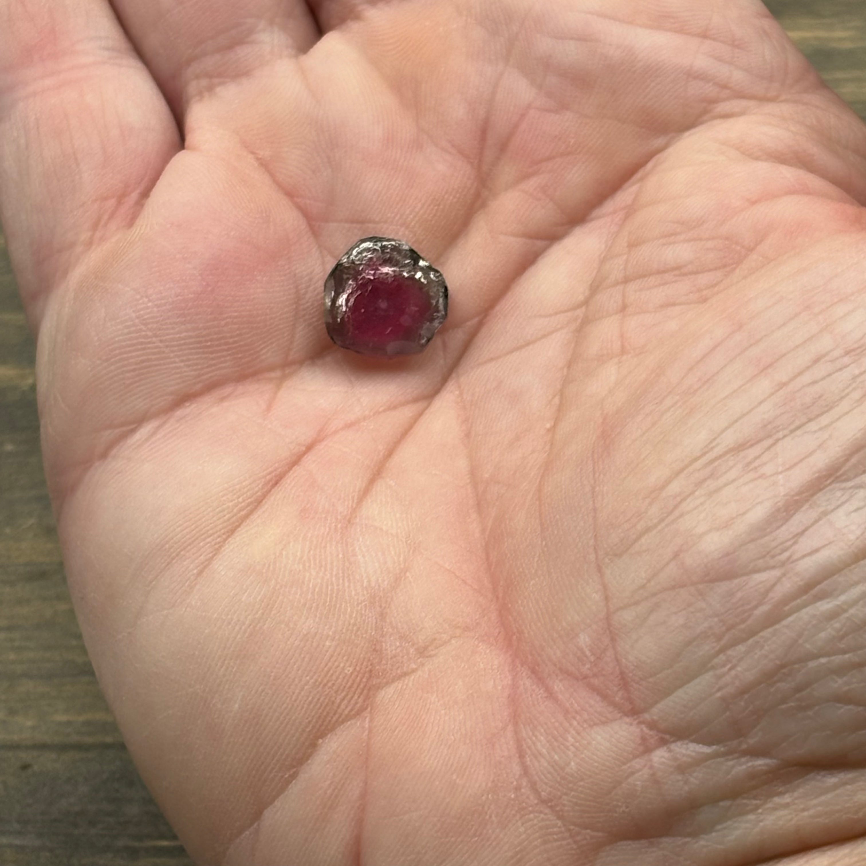 Watermelon Tourmaline Crystal Slice - 111