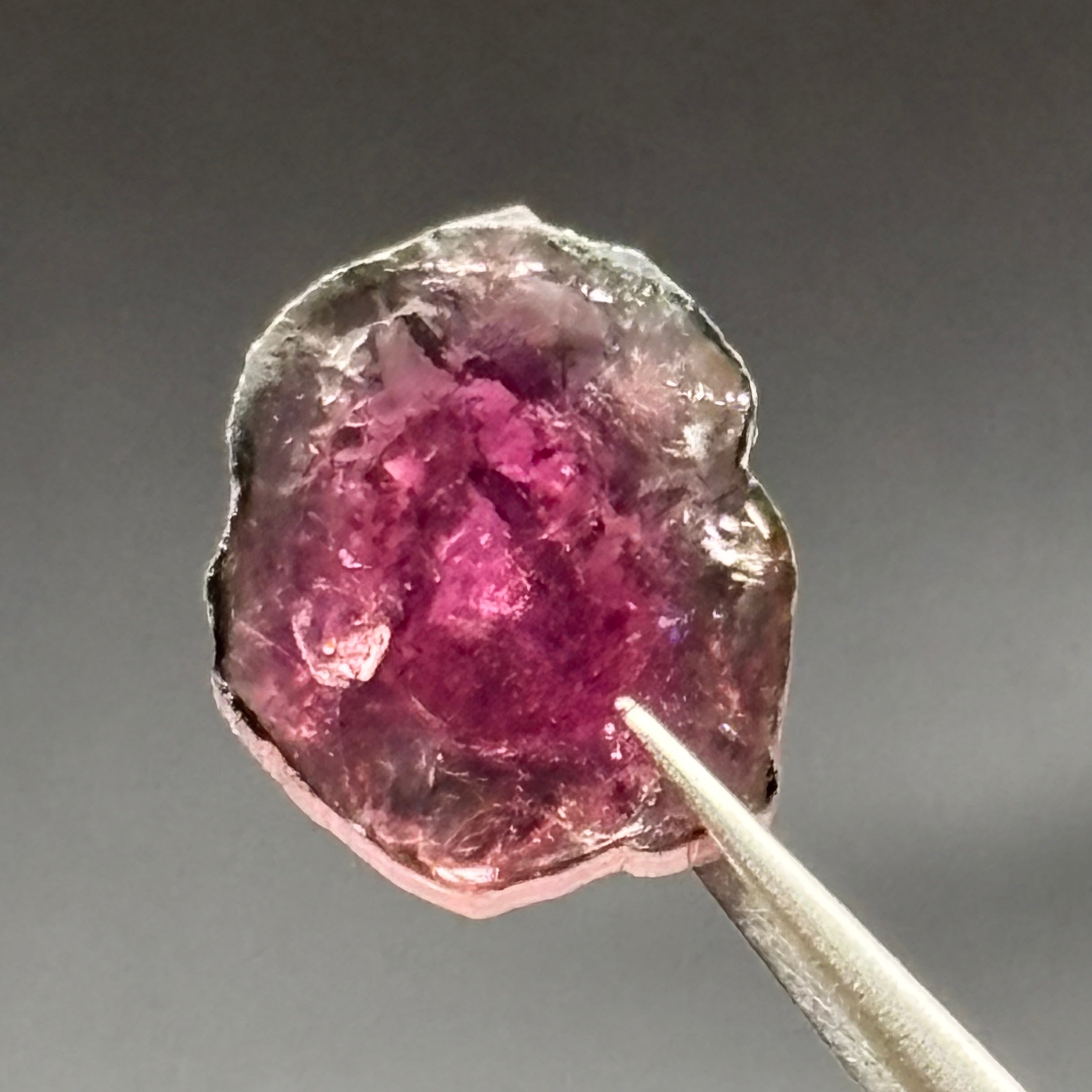 Watermelon Tourmaline Crystal Slice - 112