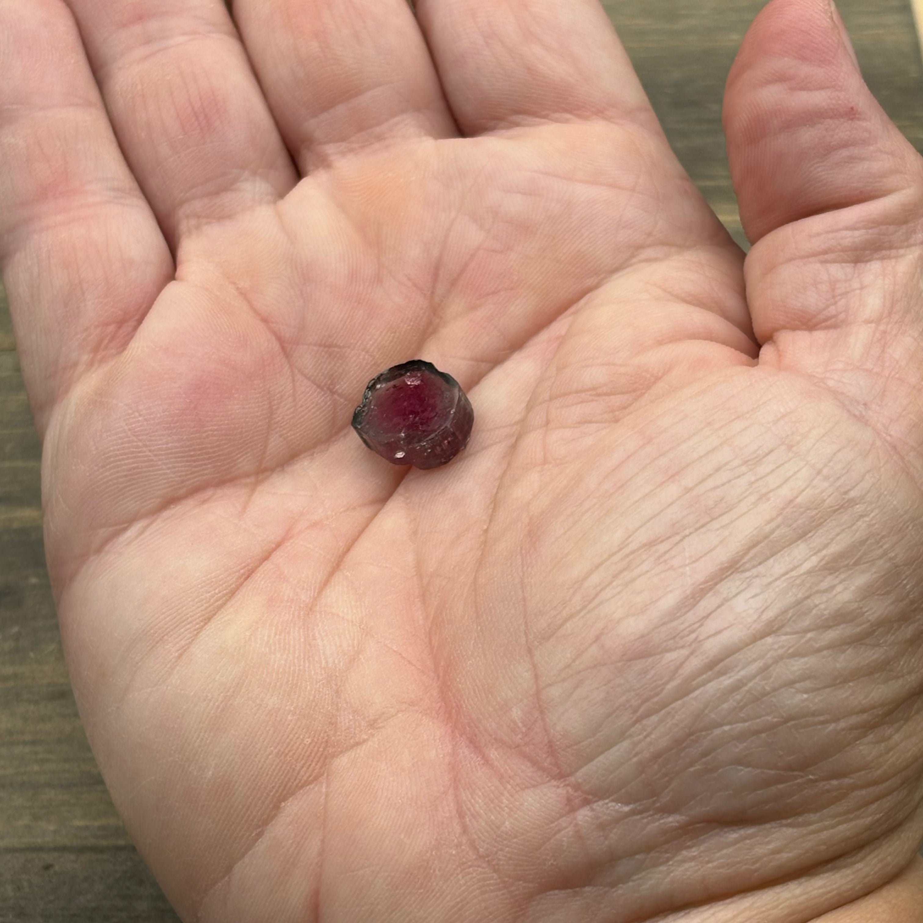 Watermelon Tourmaline Crystal Slice - 112