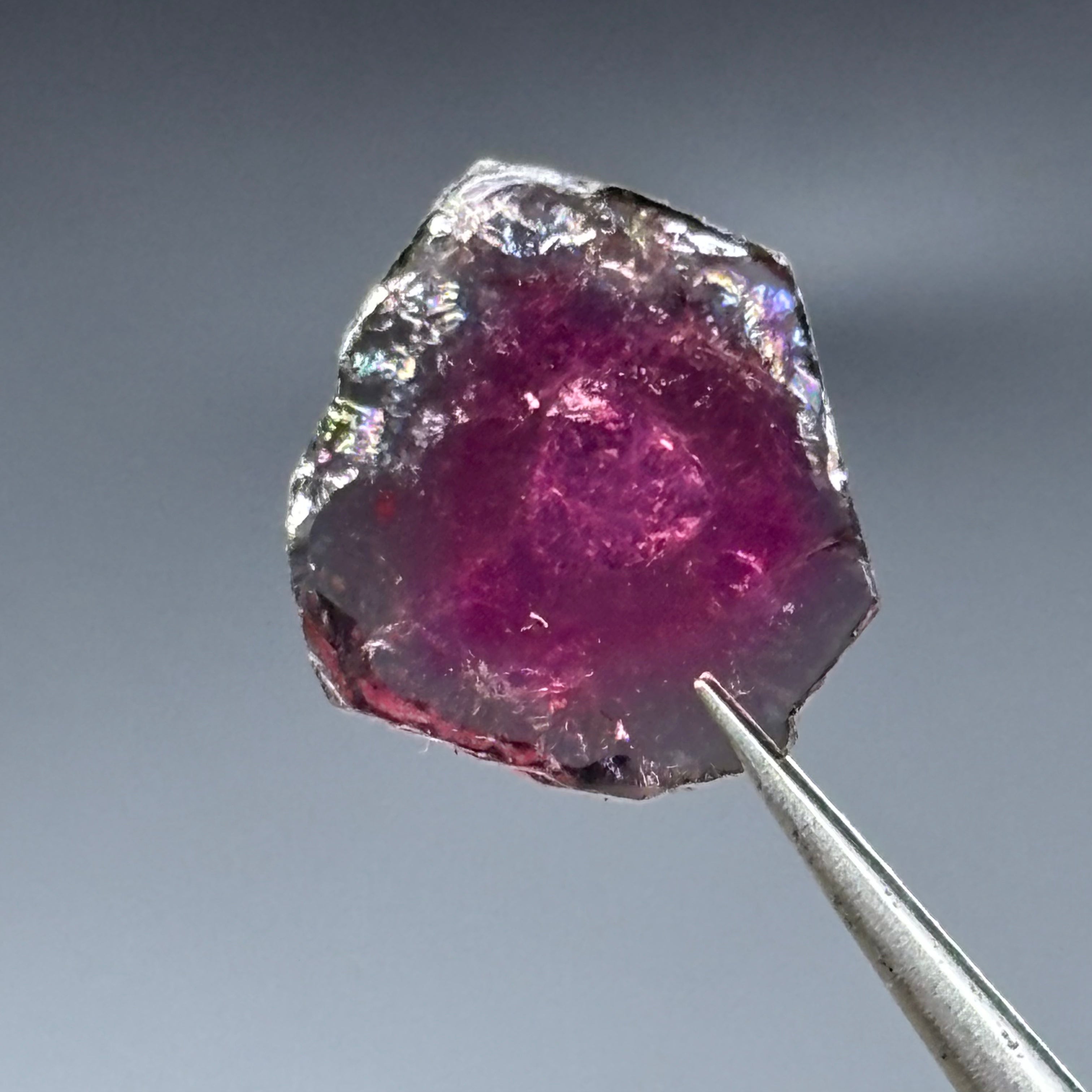 Watermelon Tourmaline Crystal Slice - 113