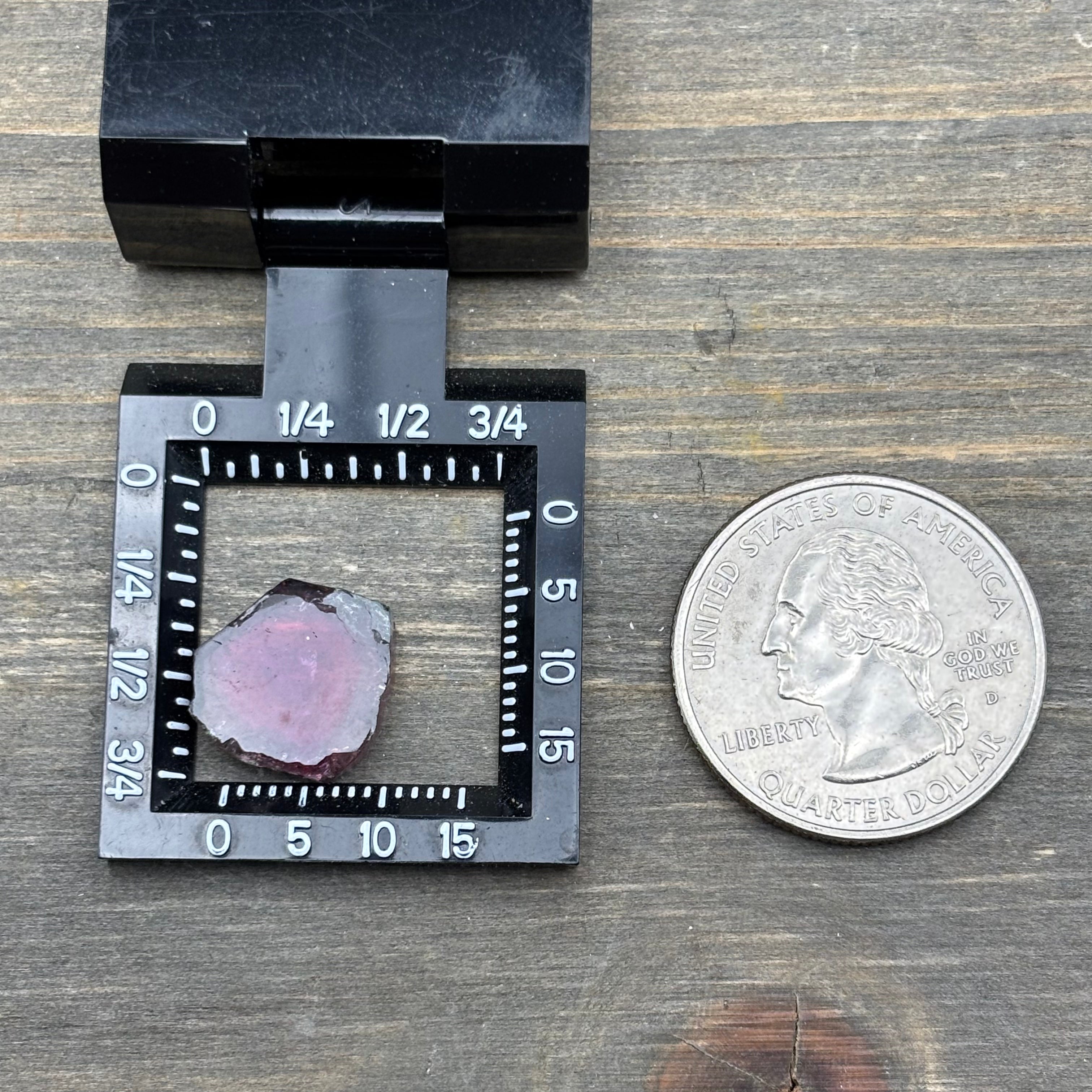 Watermelon Tourmaline Crystal Slice - 113