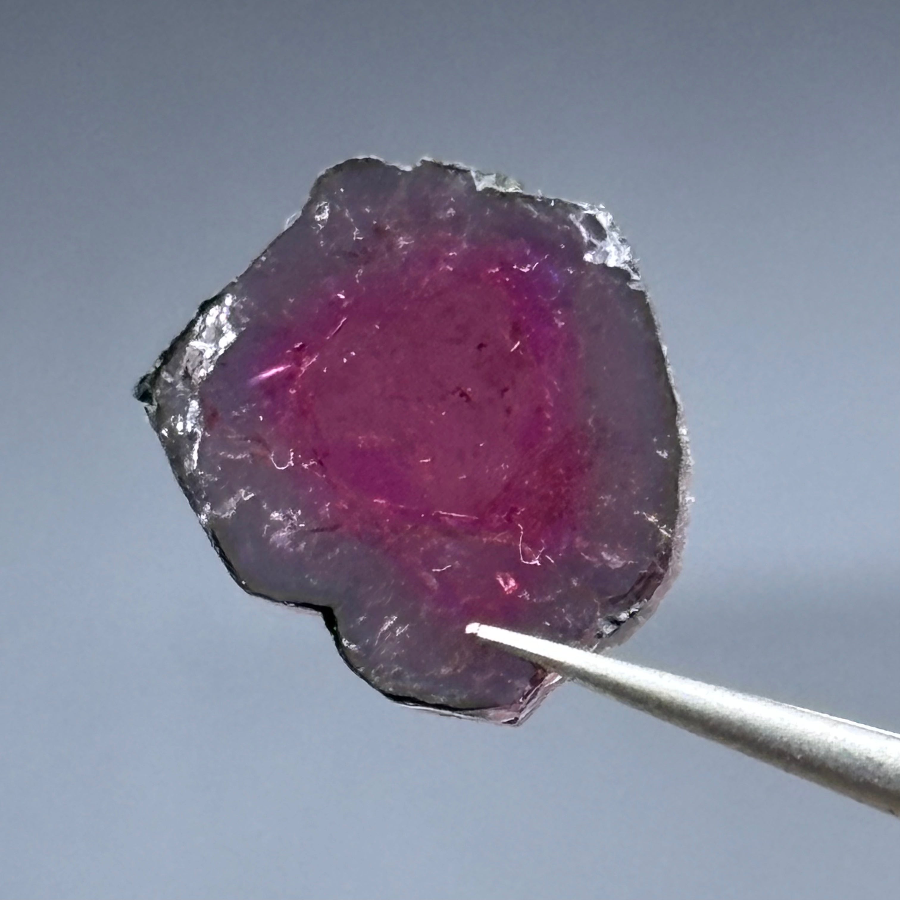 Watermelon Tourmaline Crystal Slice - 118