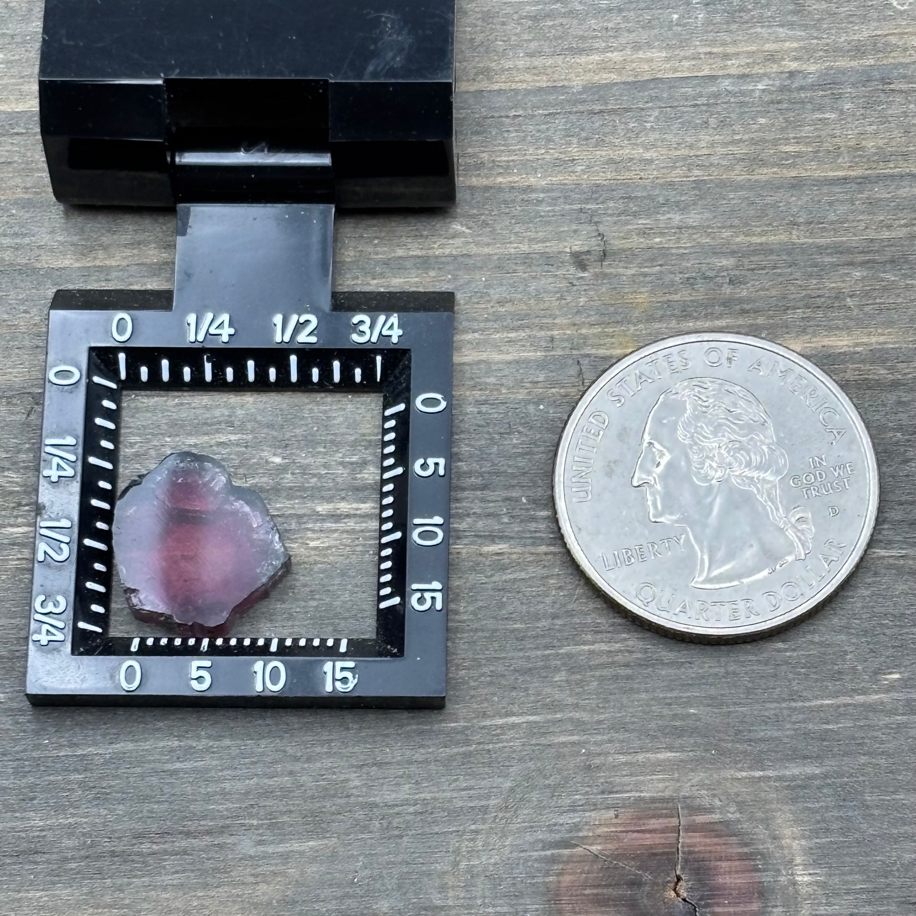 Watermelon Tourmaline Crystal Slice - 118
