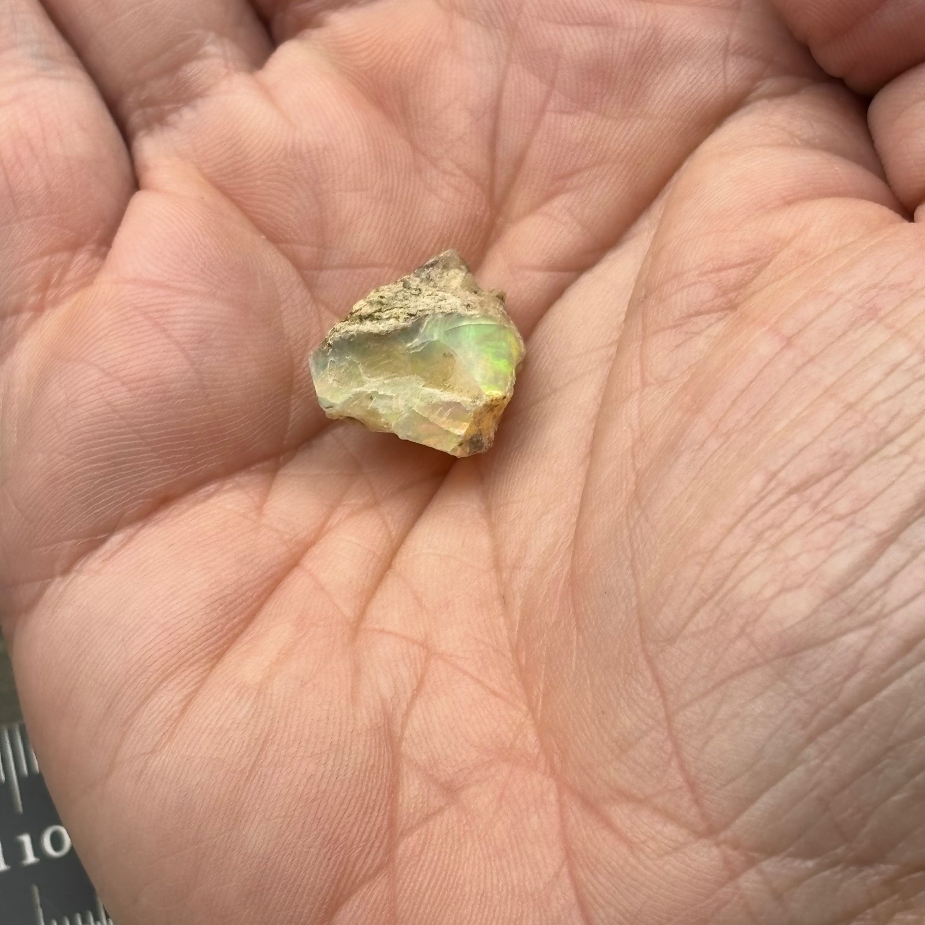 Welo Opal - 175