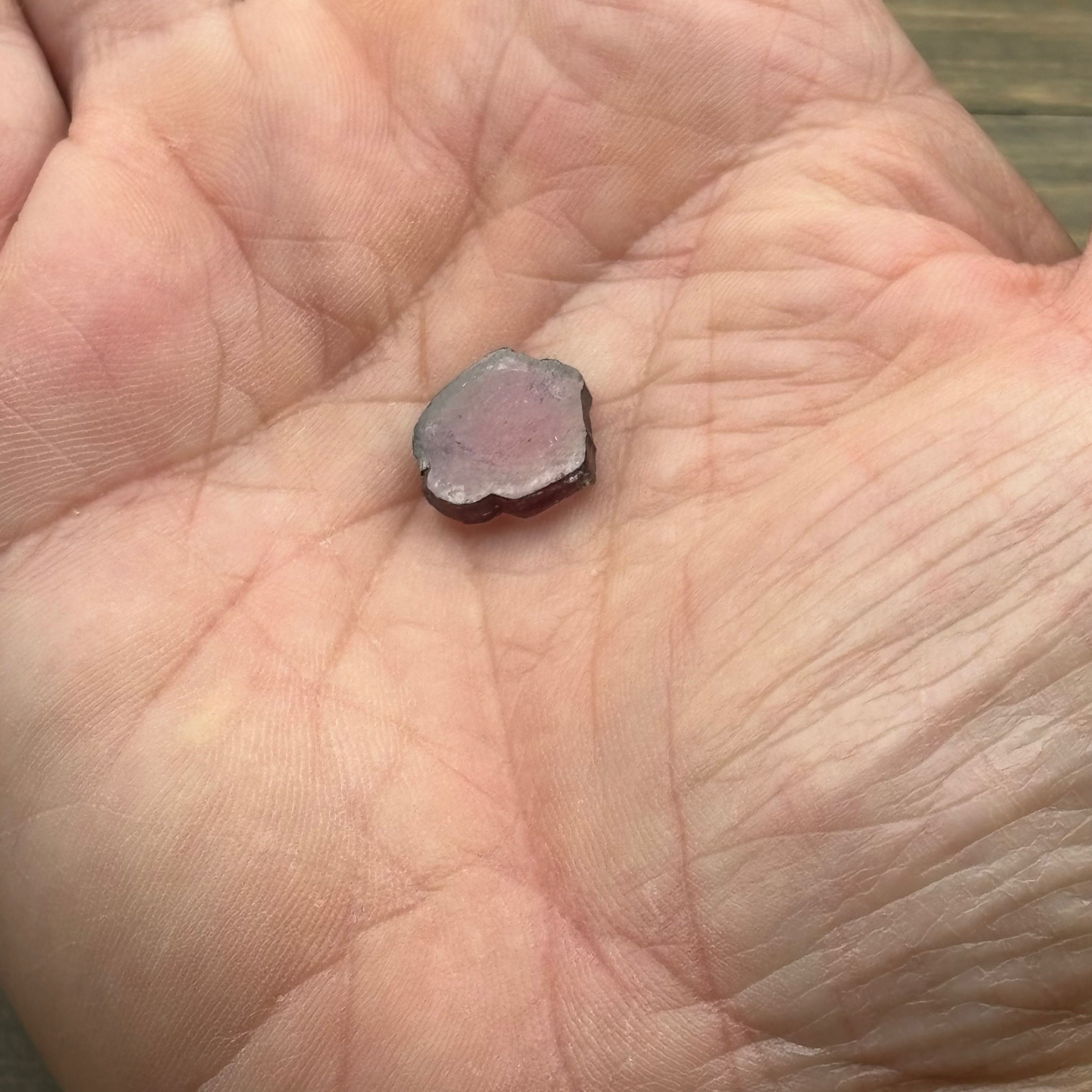 Watermelon Tourmaline Crystal Slice - 118