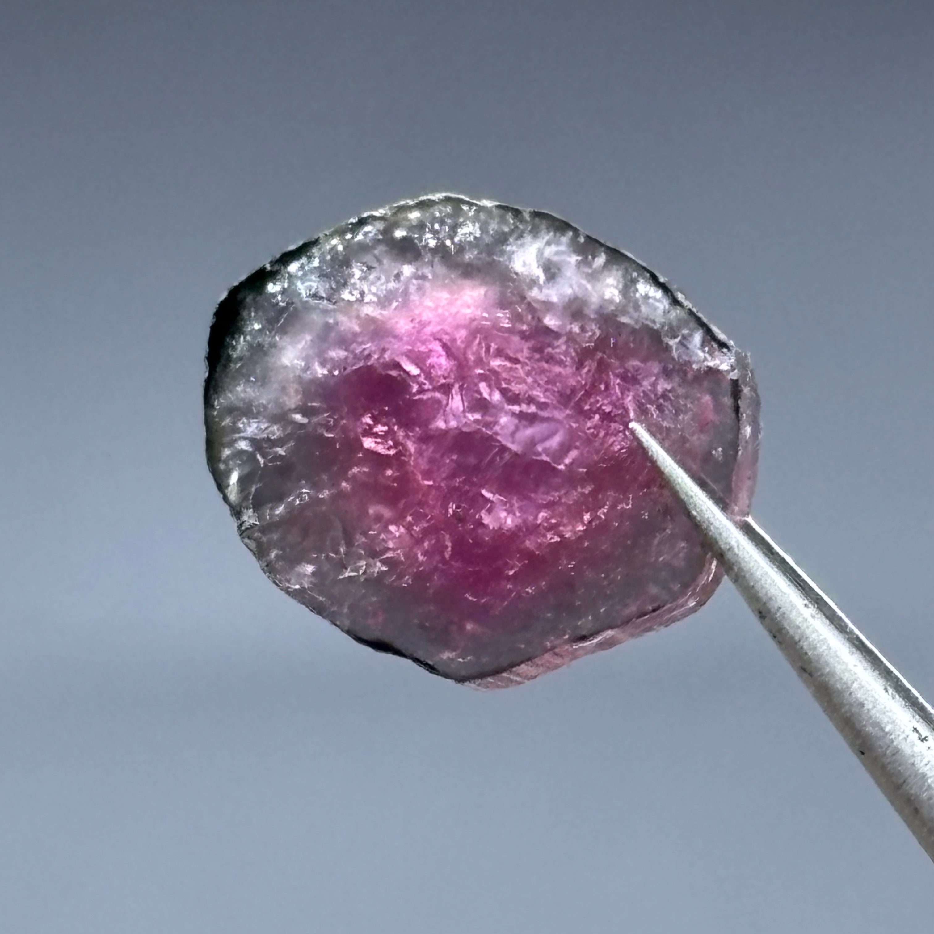 Watermelon Tourmaline Crystal Slice - 119