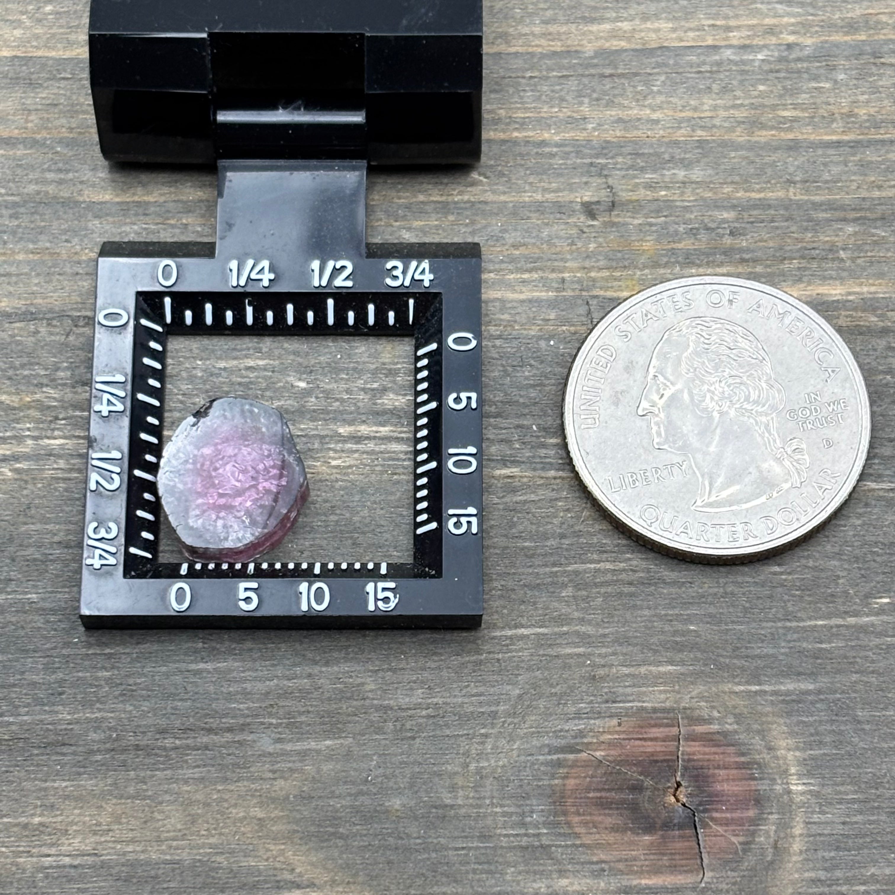 Watermelon Tourmaline Crystal Slice - 119