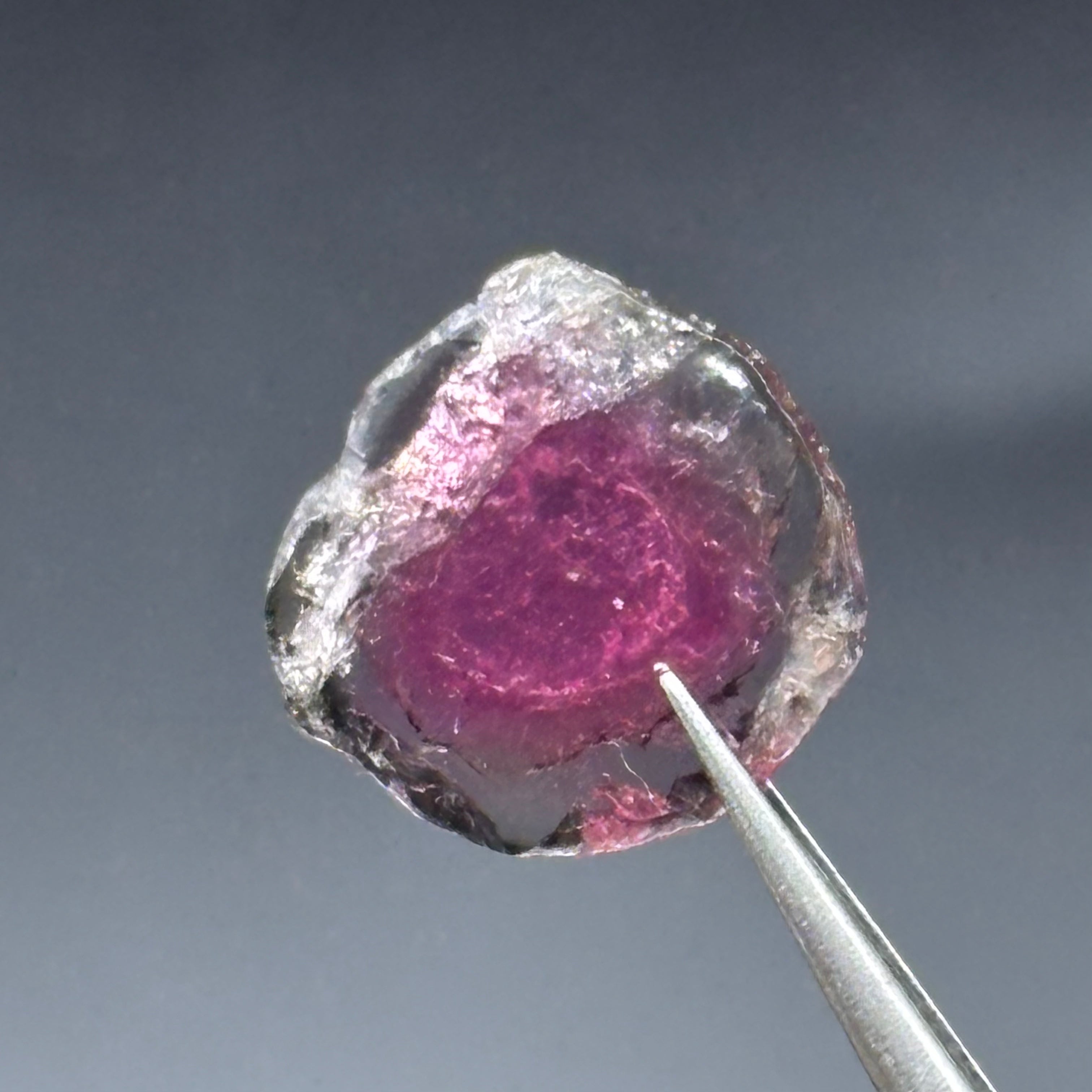 Watermelon Tourmaline Crystal Slice - 120
