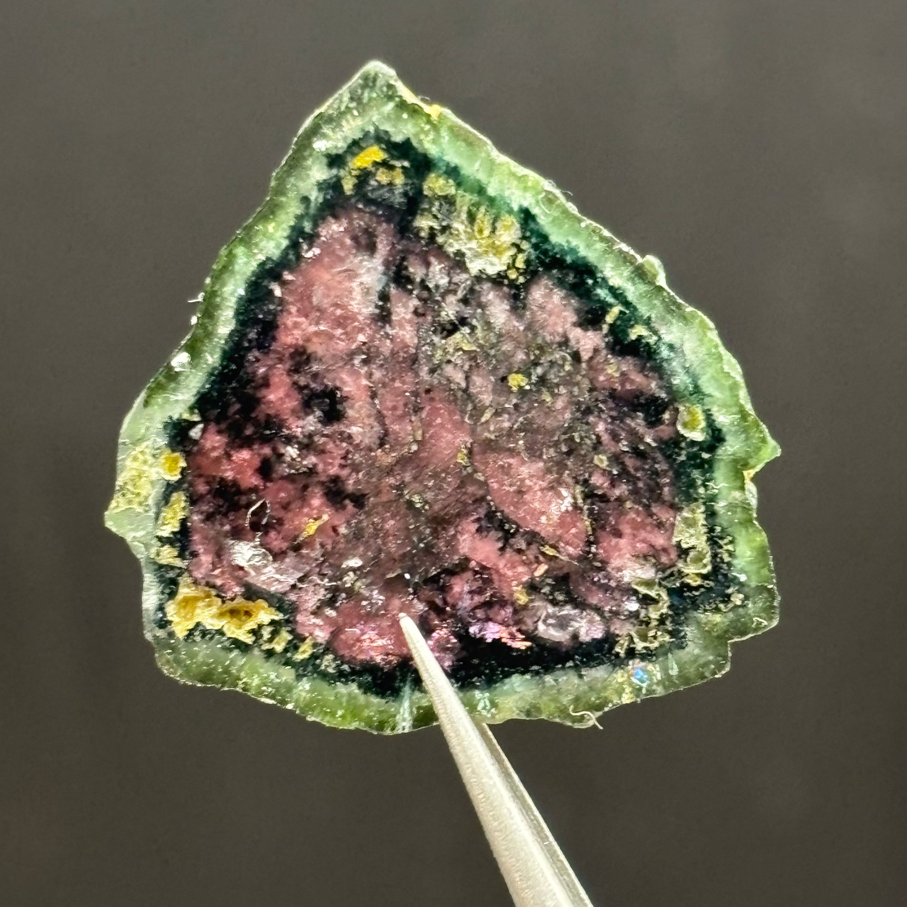 Watermelon Tourmaline Cross-Section  - 163