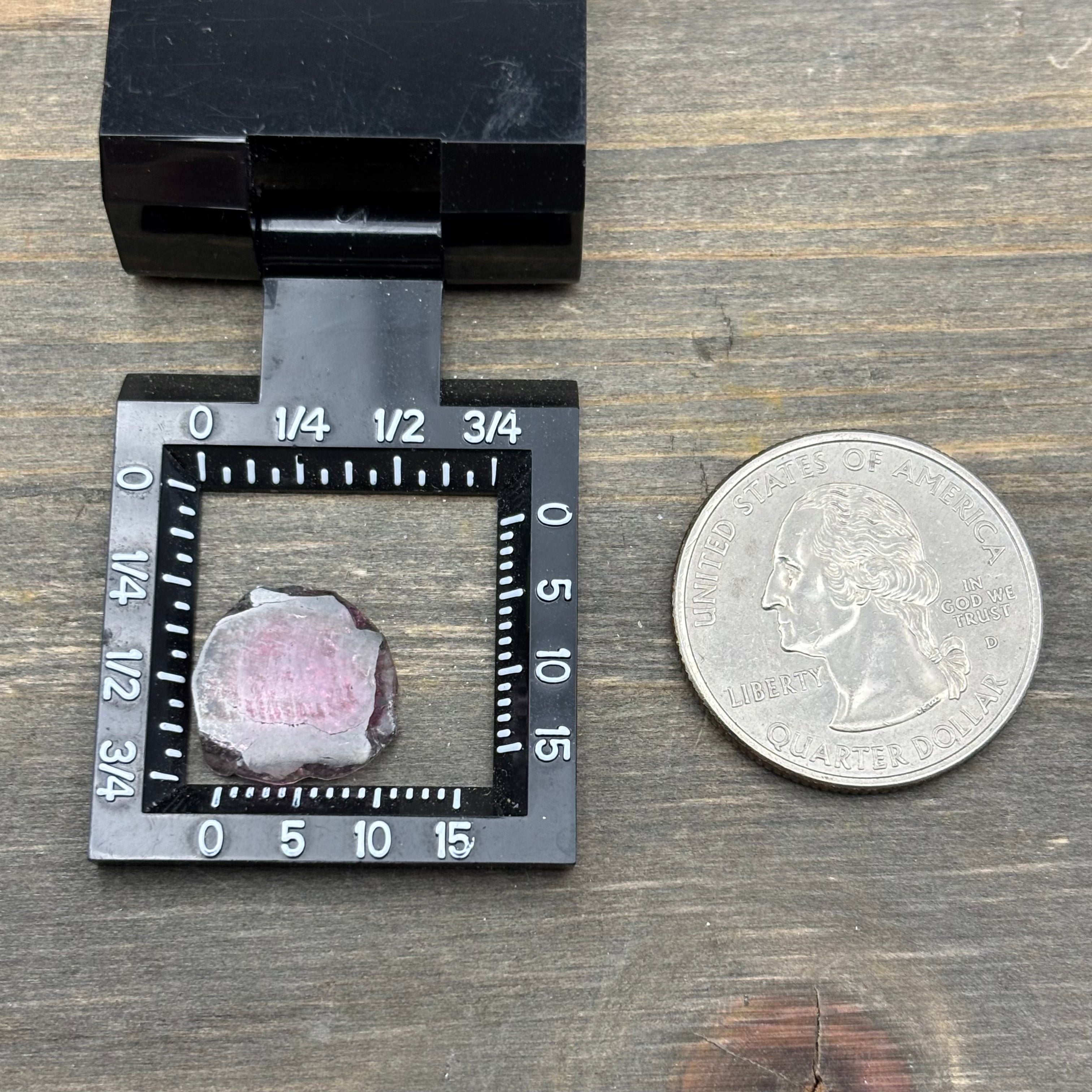 Watermelon Tourmaline Crystal Slice - 120