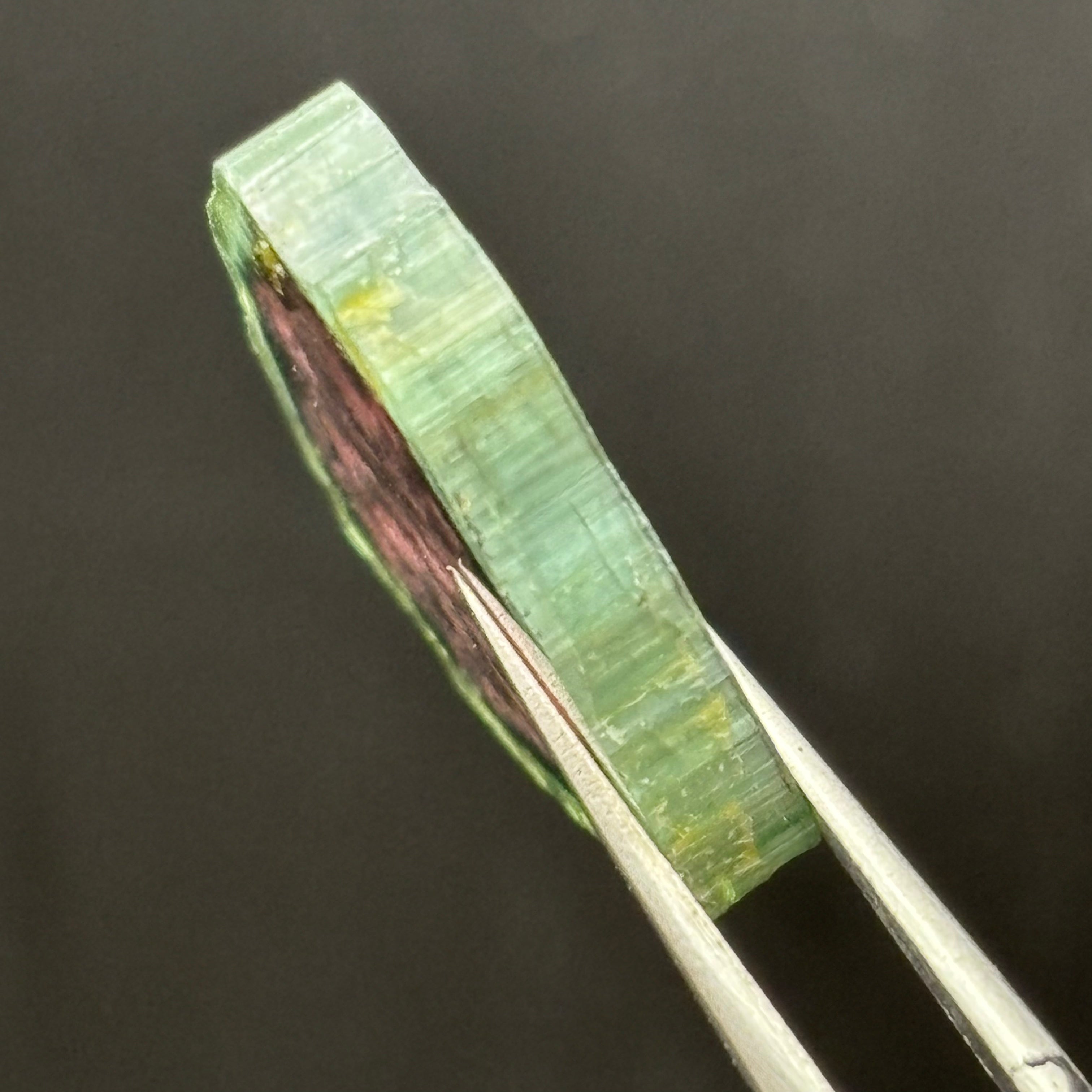 Watermelon Tourmaline Cross-Section  - 163