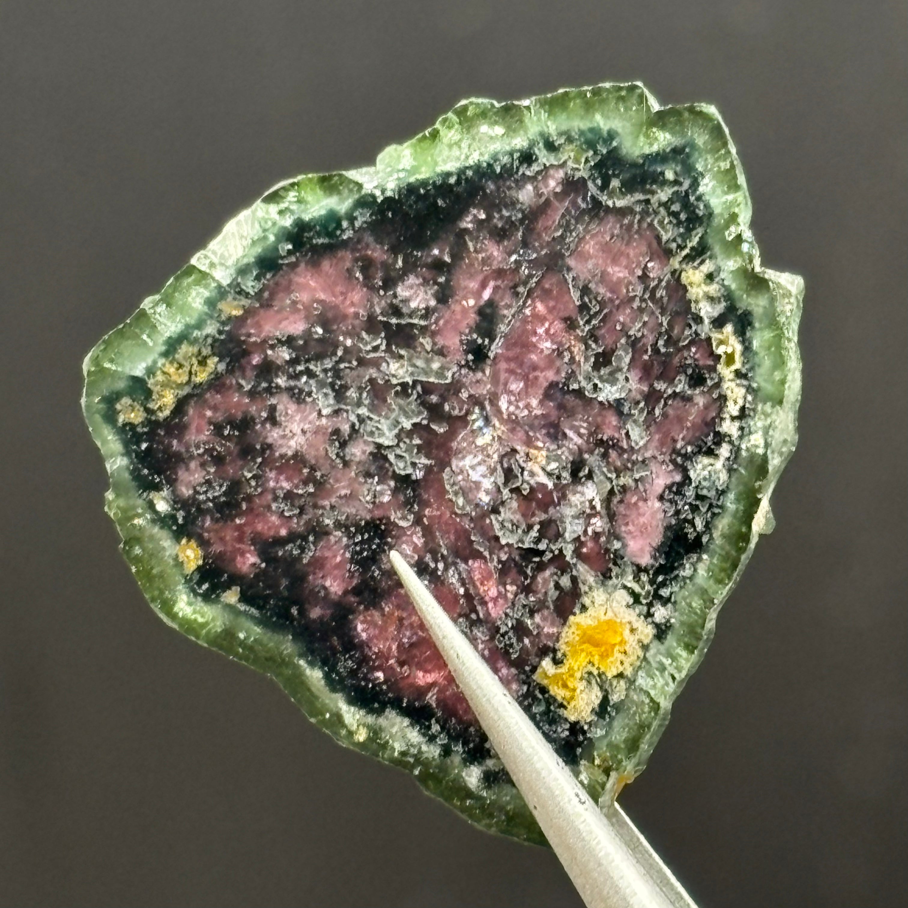 Watermelon Tourmaline Cross-Section  - 163