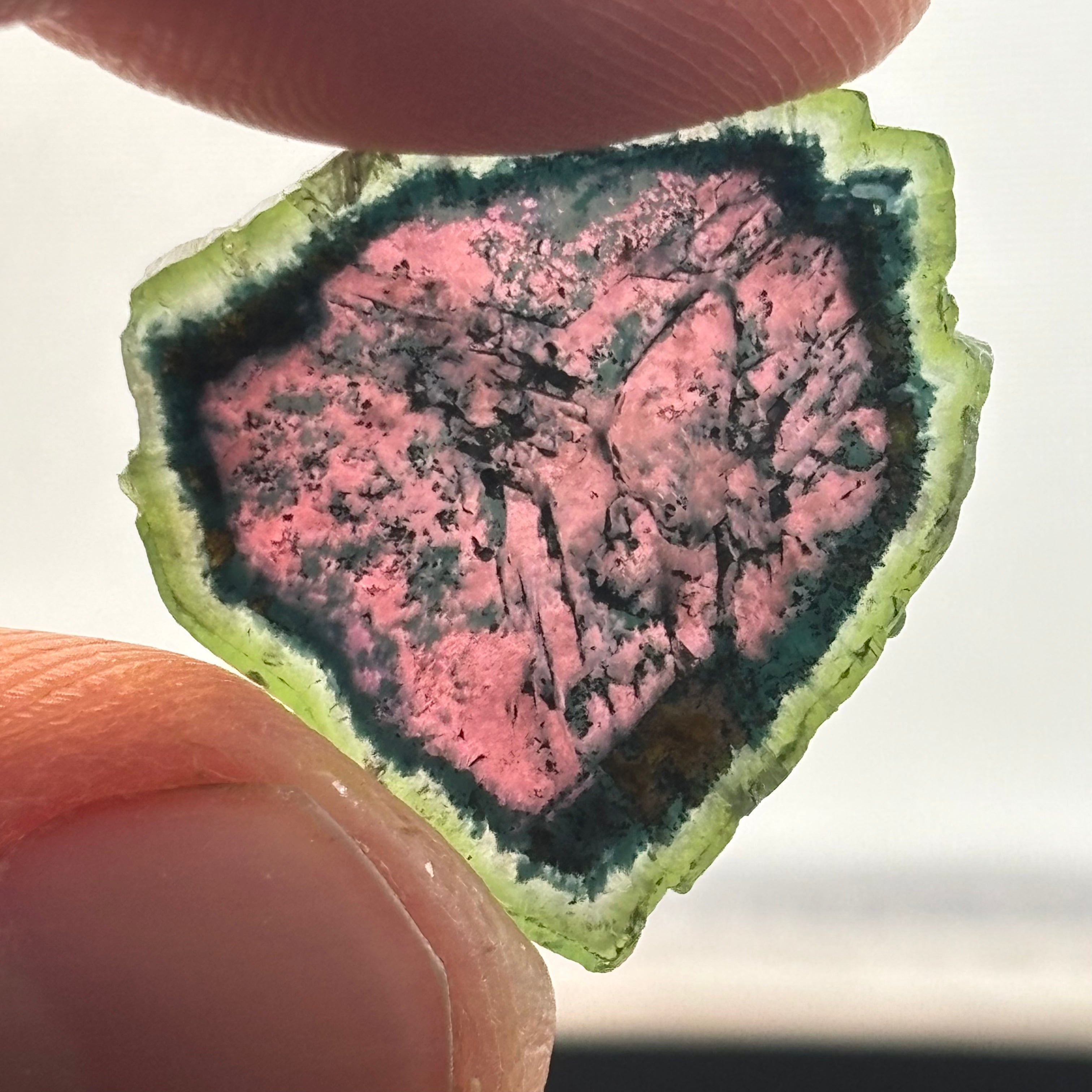 Watermelon Tourmaline Cross-Section  - 163