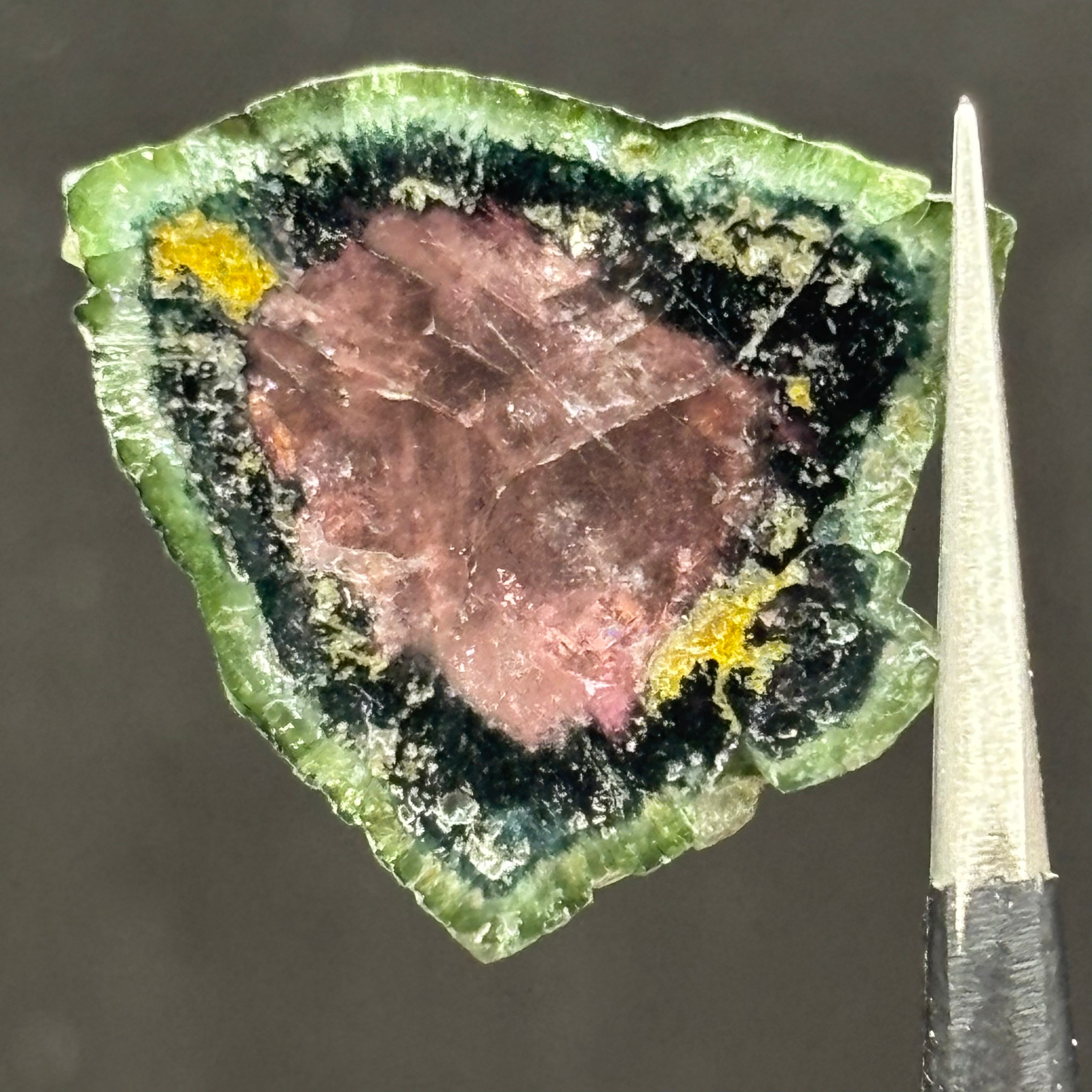 Watermelon Tourmaline Cross-Section  - 164