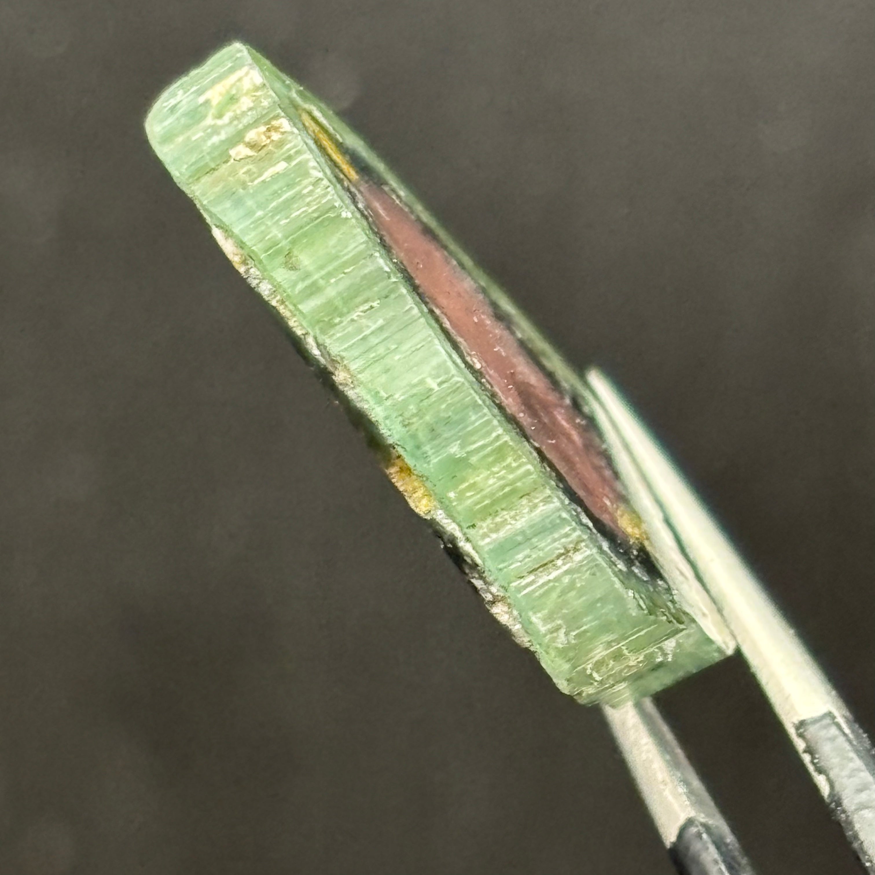 Watermelon Tourmaline Cross-Section  - 164