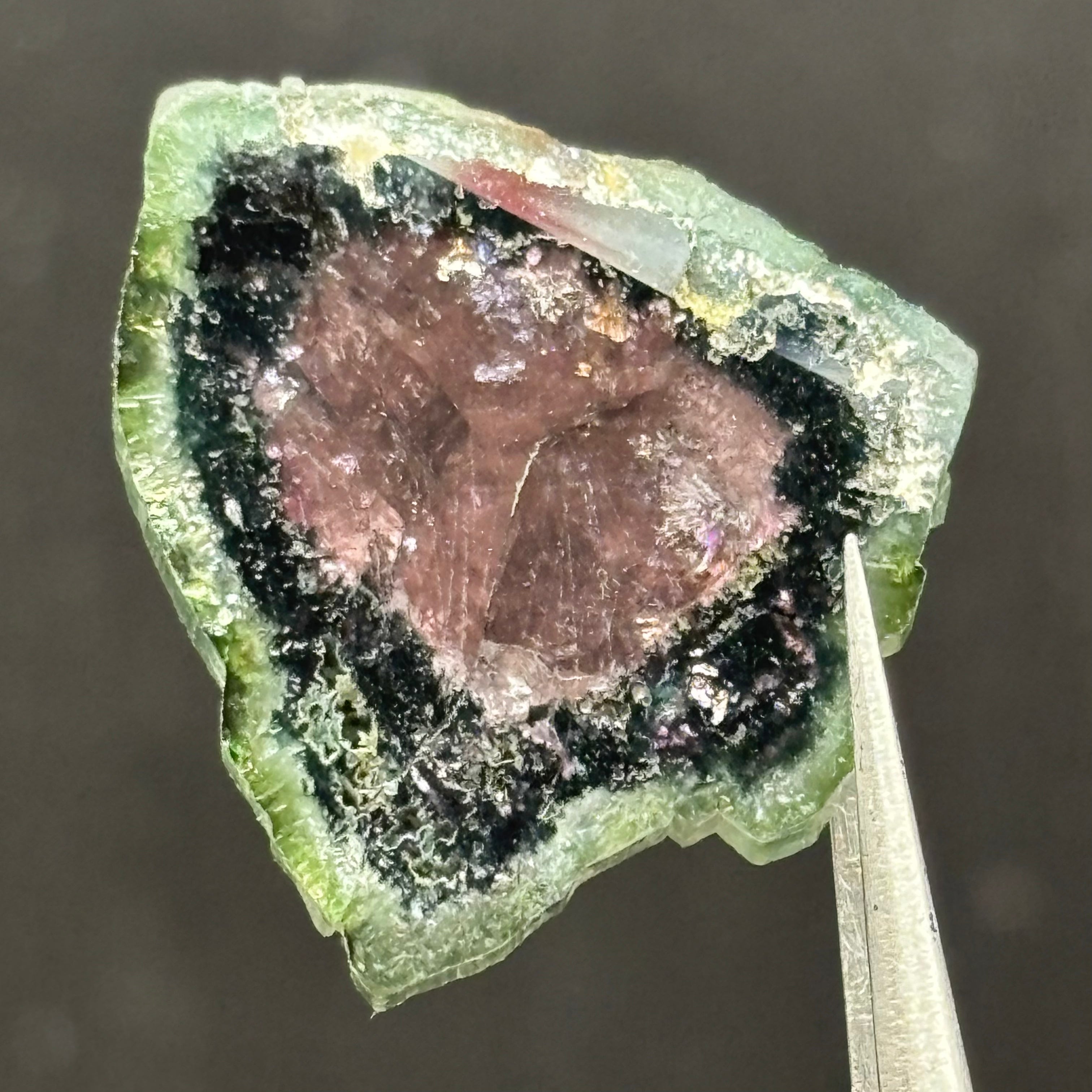 Watermelon Tourmaline Cross-Section  - 164