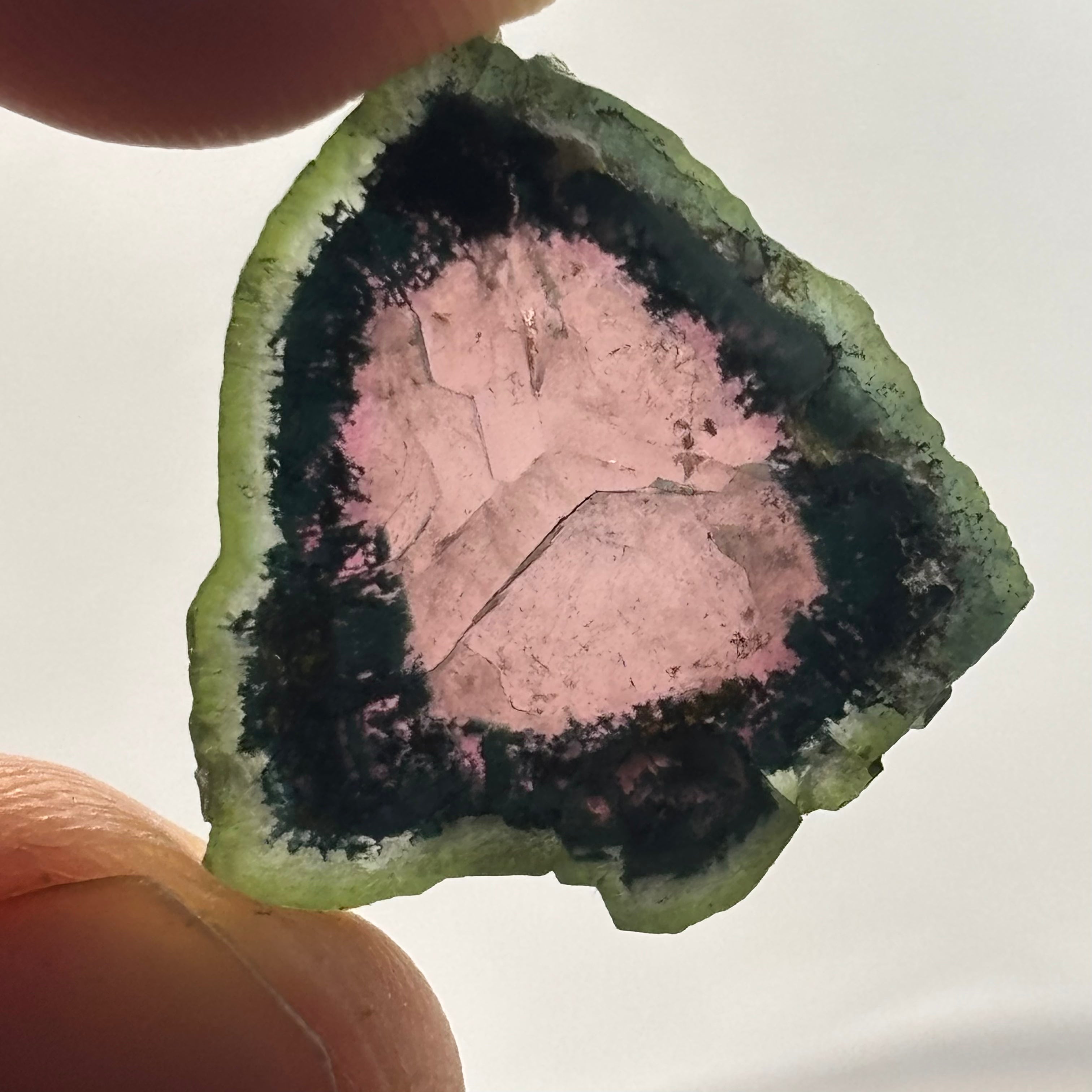 Watermelon Tourmaline Cross-Section  - 164